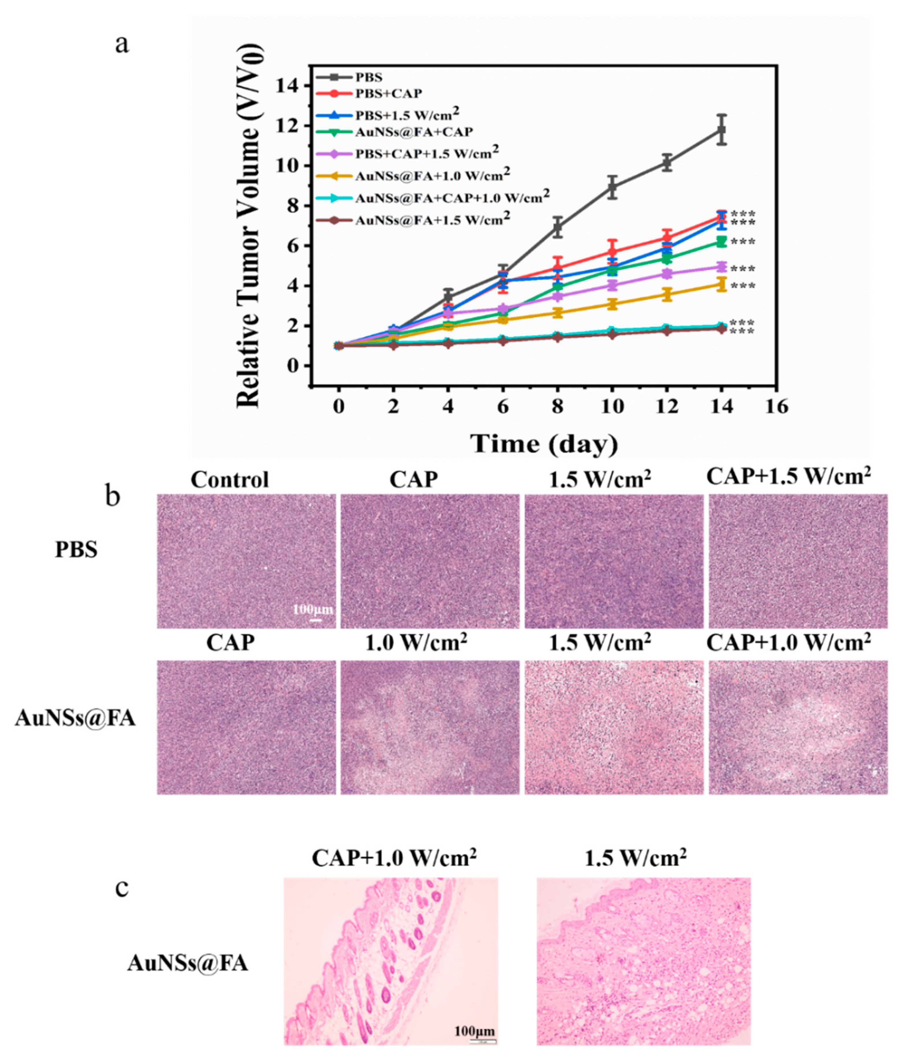 Molecules 27 05941 g007