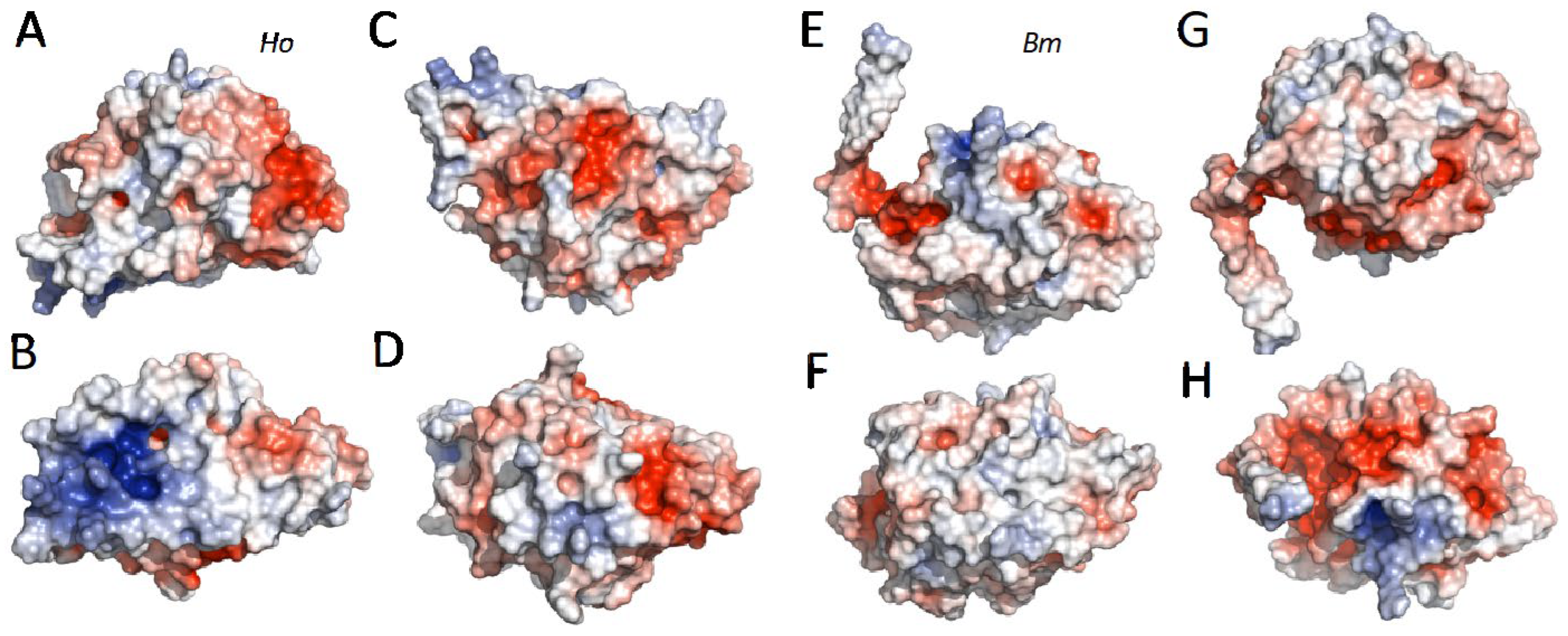Molecules 27 05945 g004