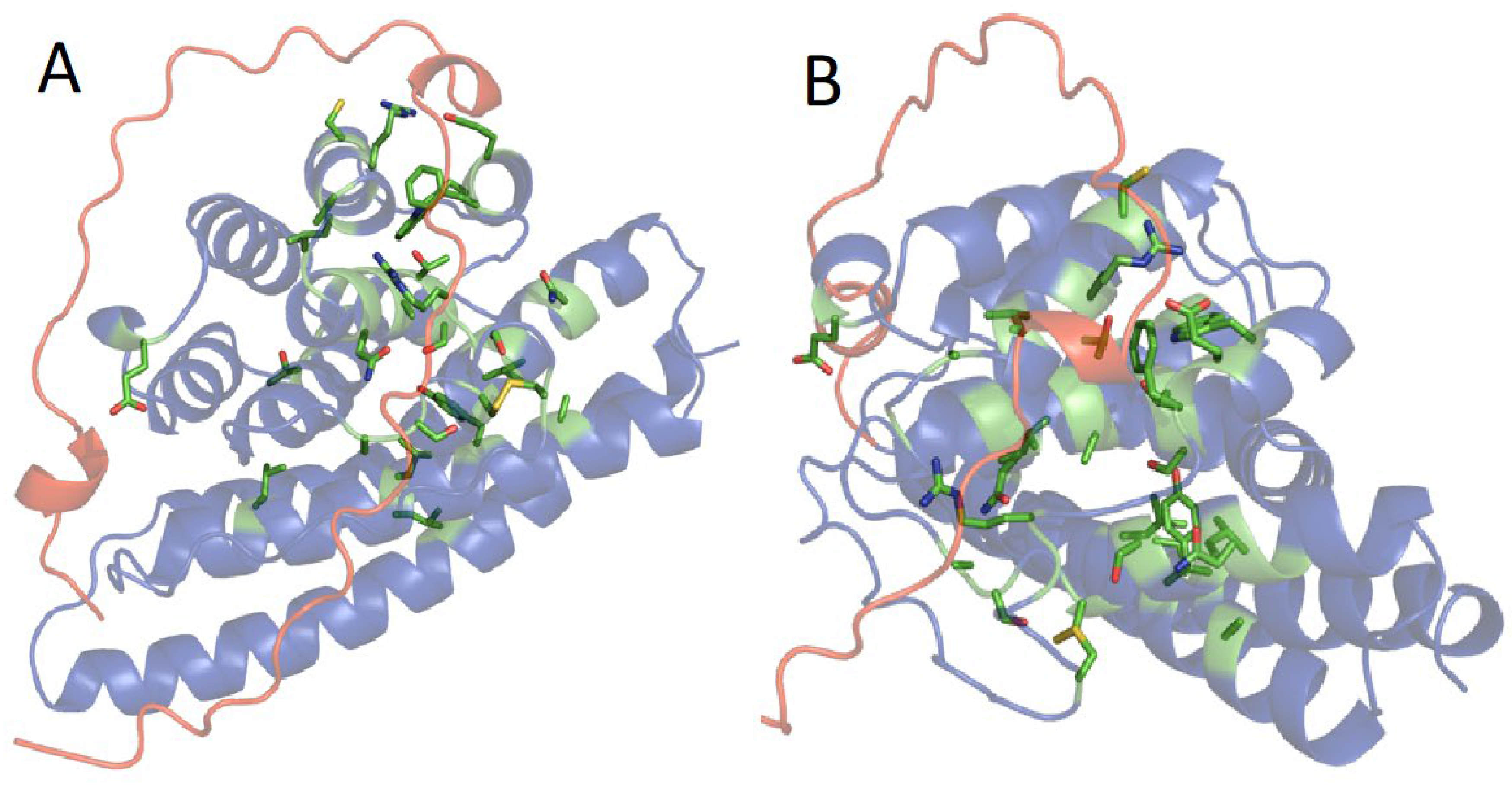 Molecules 27 05945 g006
