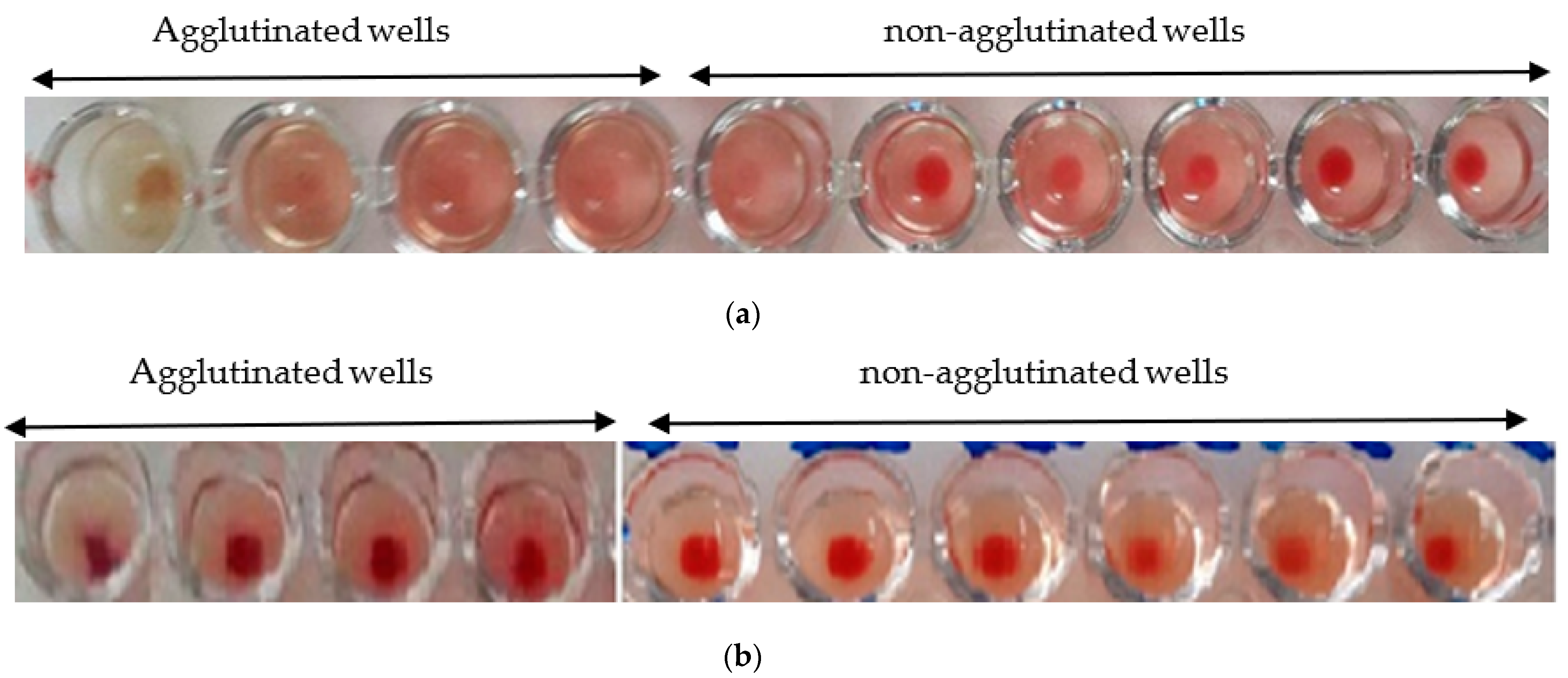 Molecules 27 05946 g006