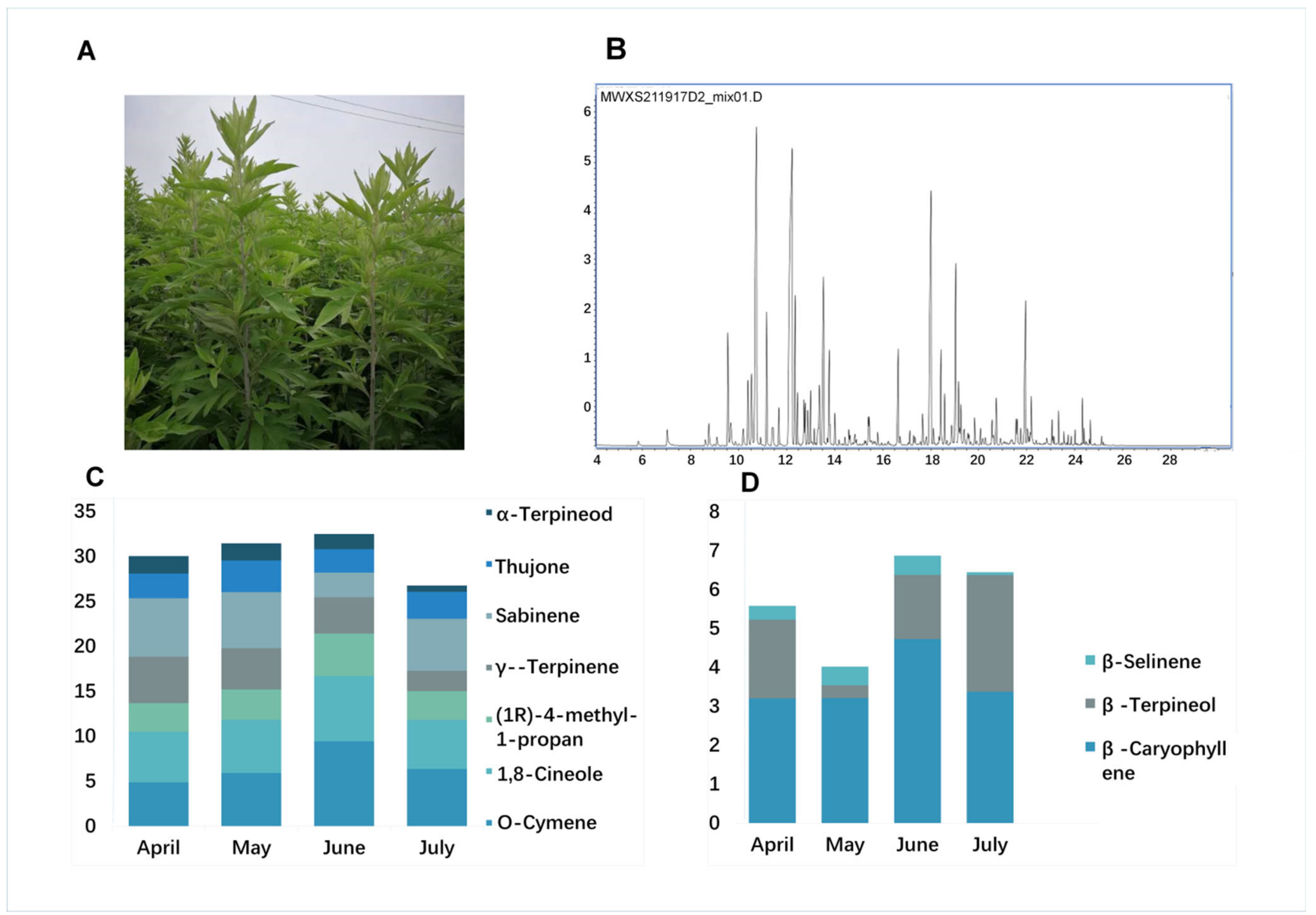 Molecules 27 05948 g001