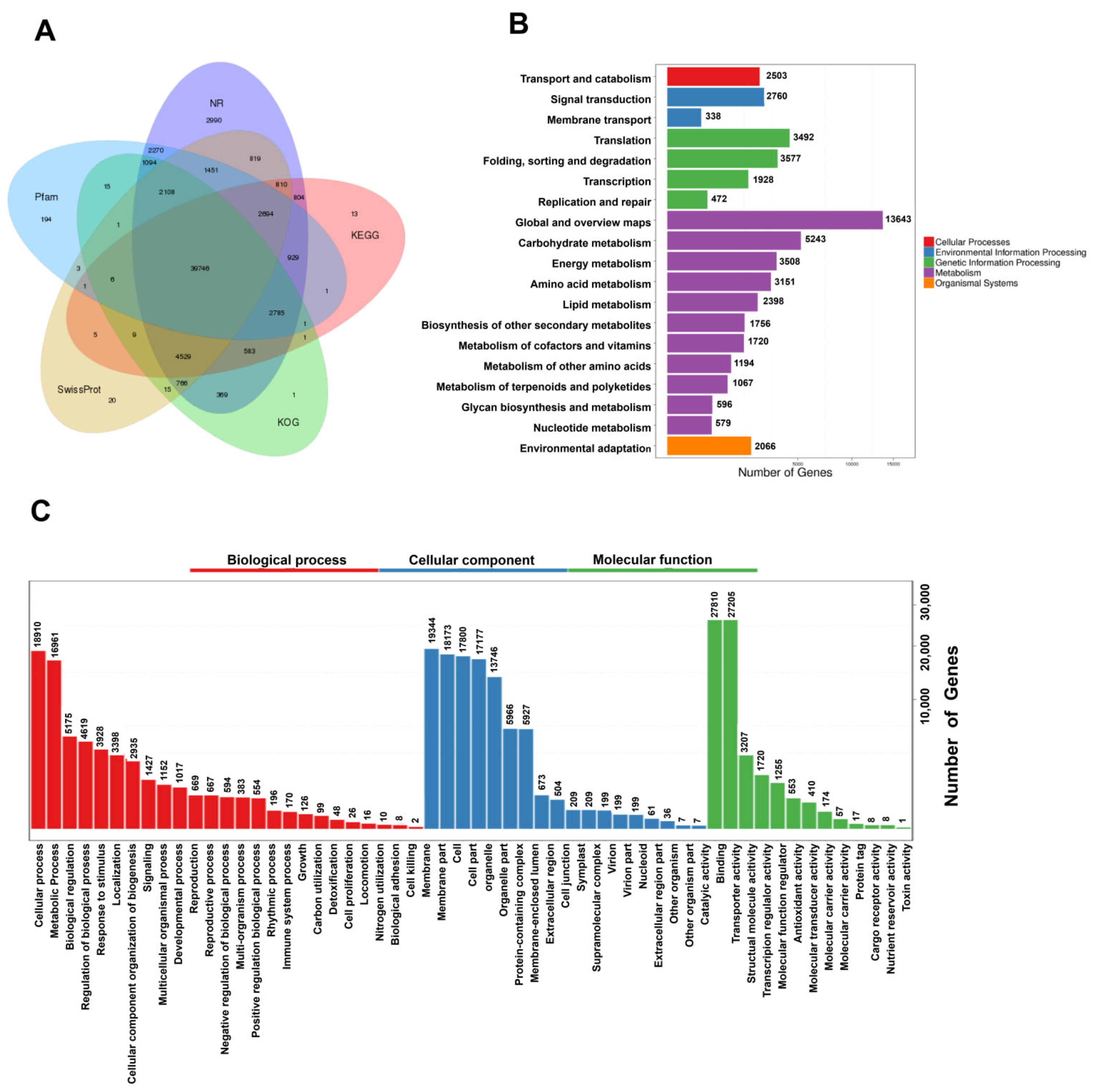 Molecules 27 05948 g002