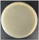 Molecules 27 05953 i008