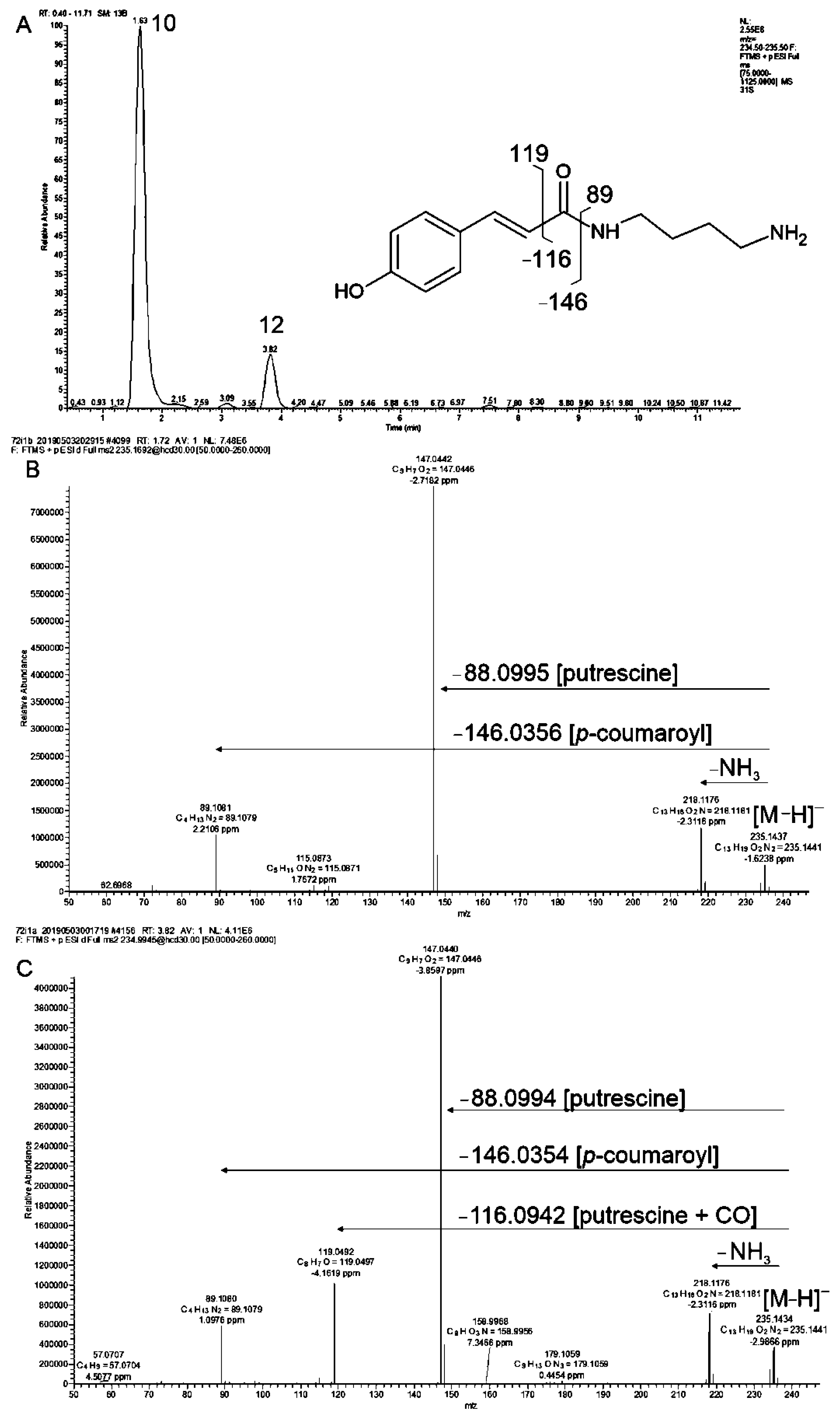 Molecules 27 05956 g006 Molecules 27 05956 g006