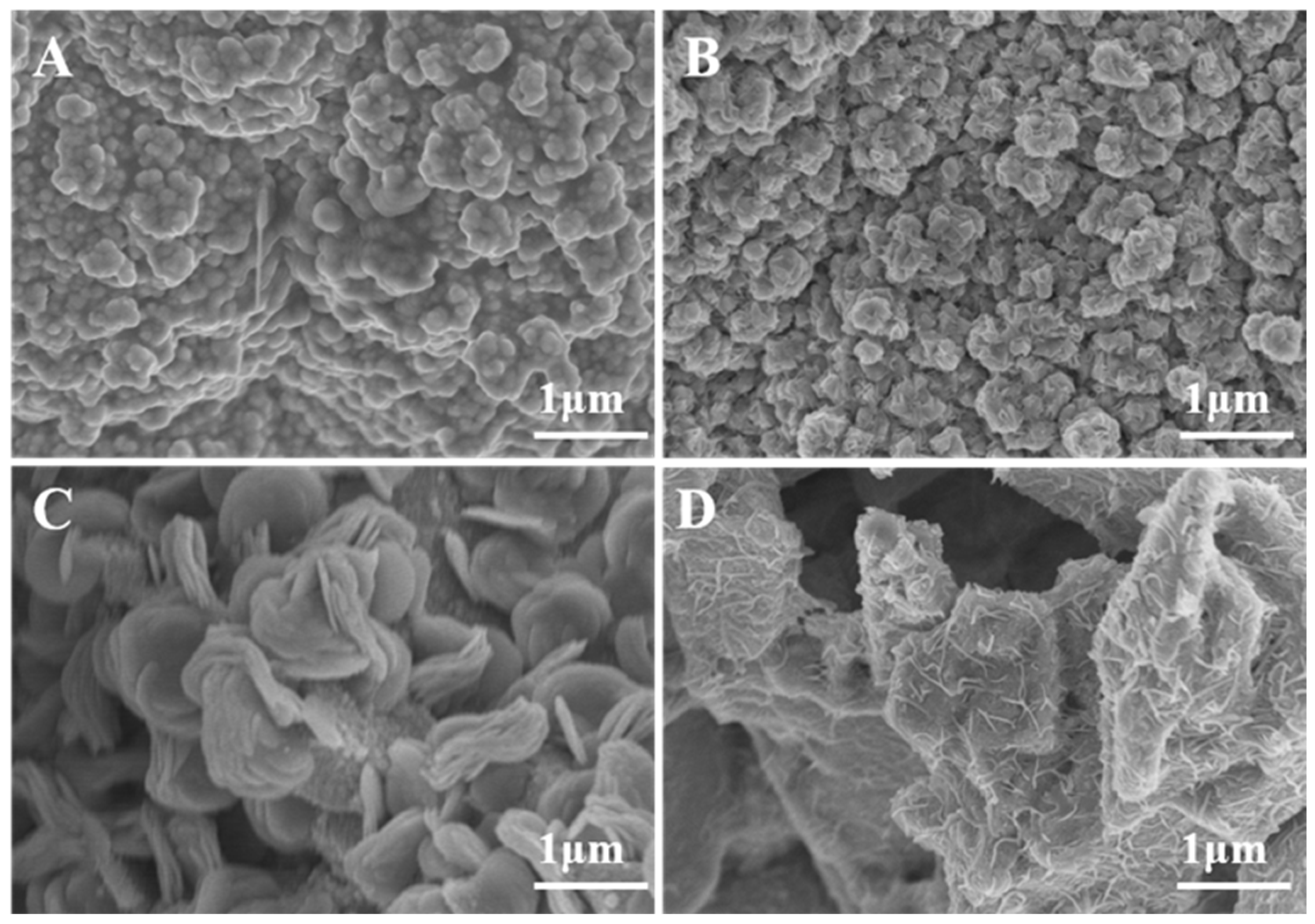 Molecules 27 05961 g002 Molecules 27 05961 g002