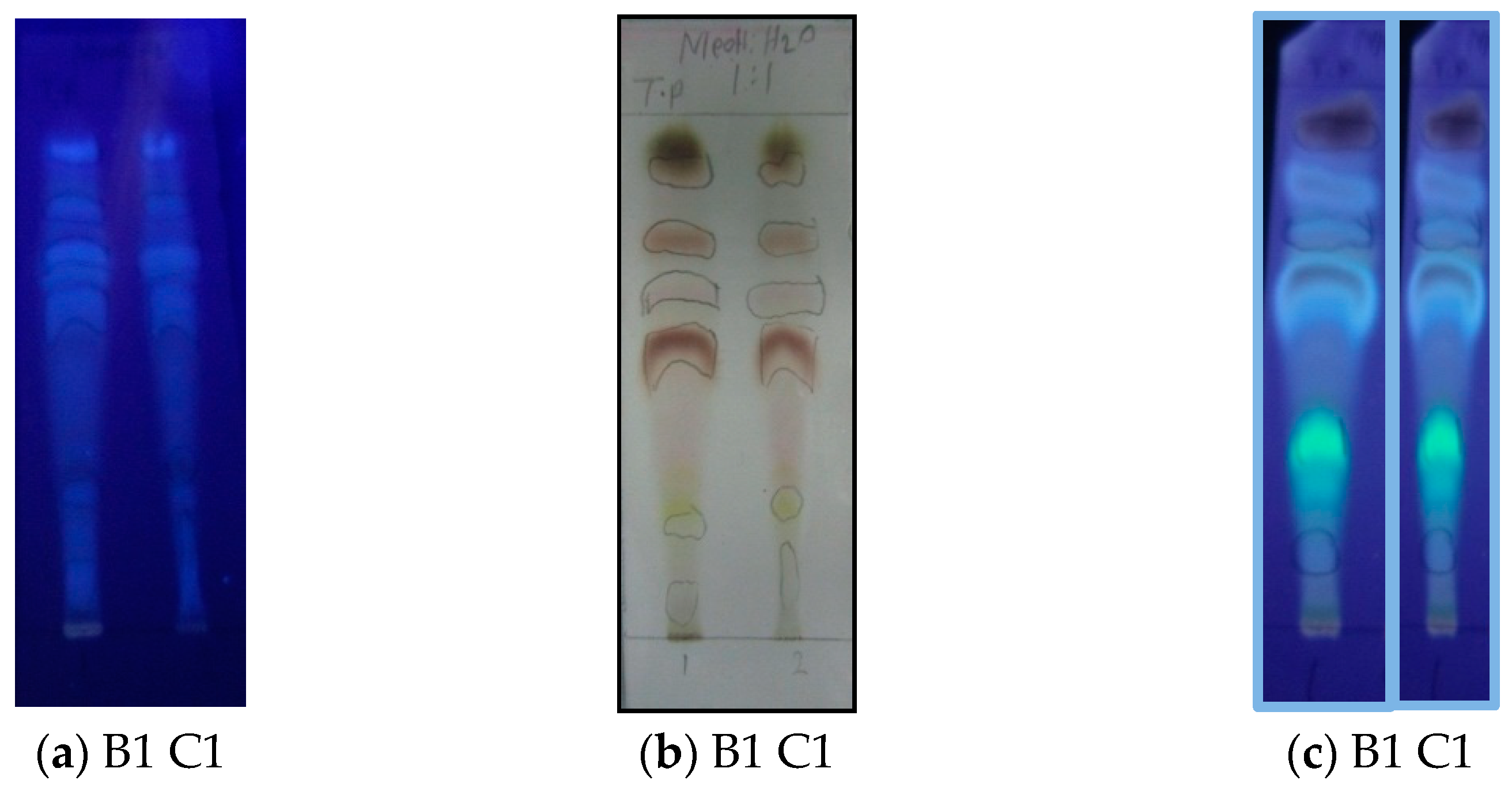 Molecules 27 05963 g002