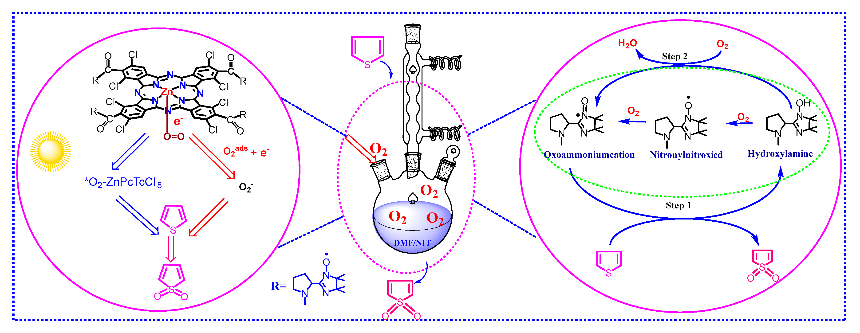 Molecules 27 05964 g011 Molecules 27 05964 g011