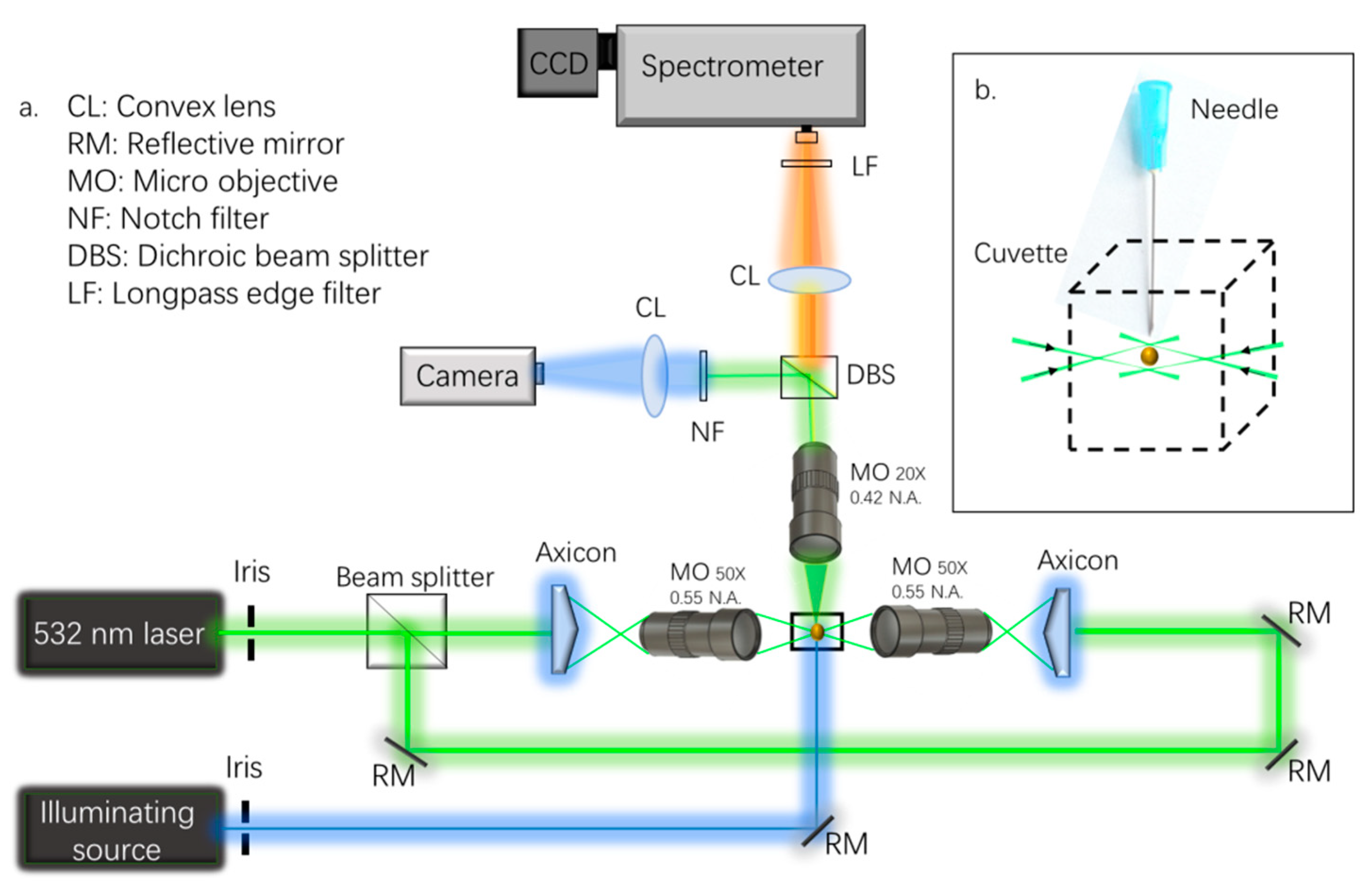 Molecules 27 05966 g001