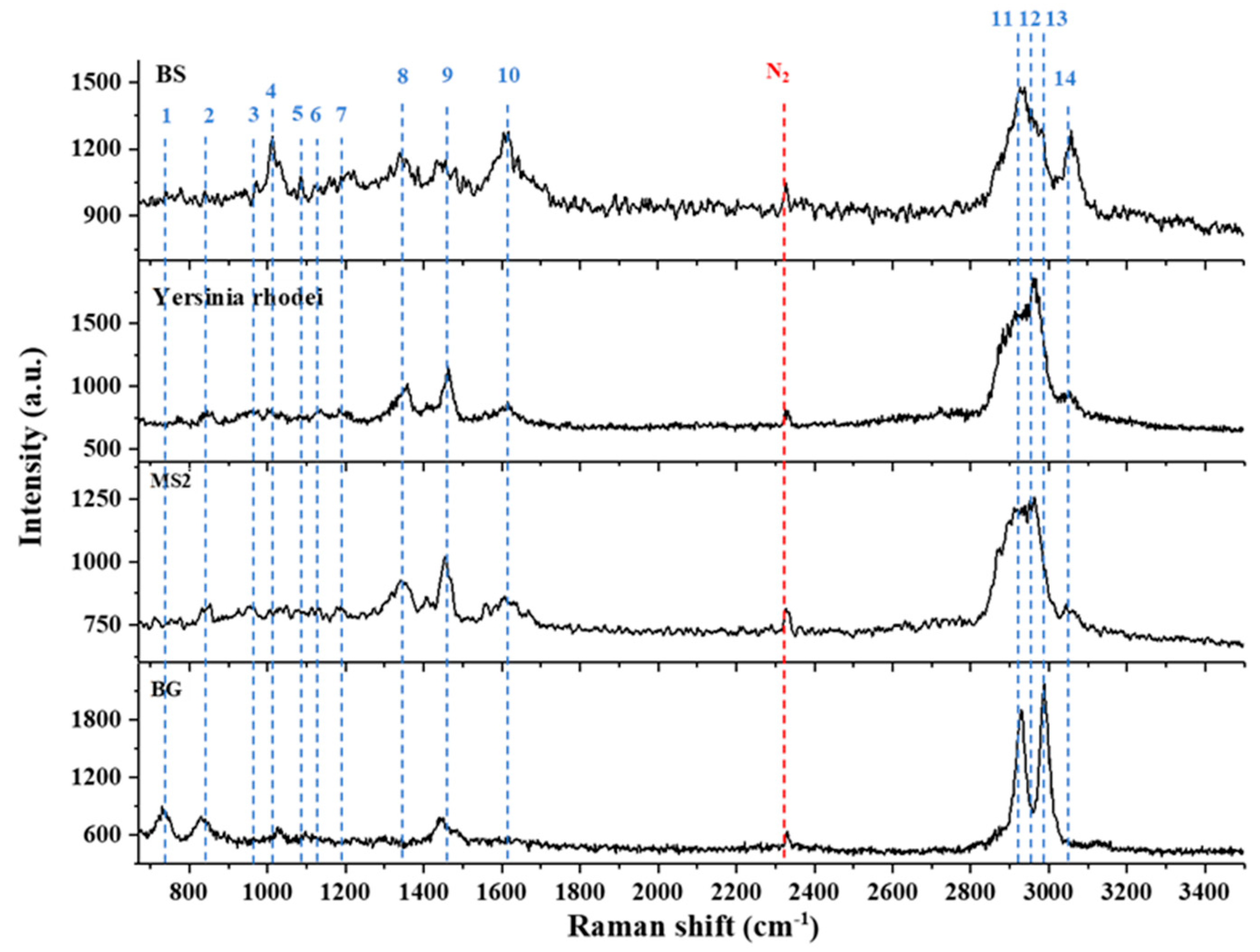 Molecules 27 05966 g006