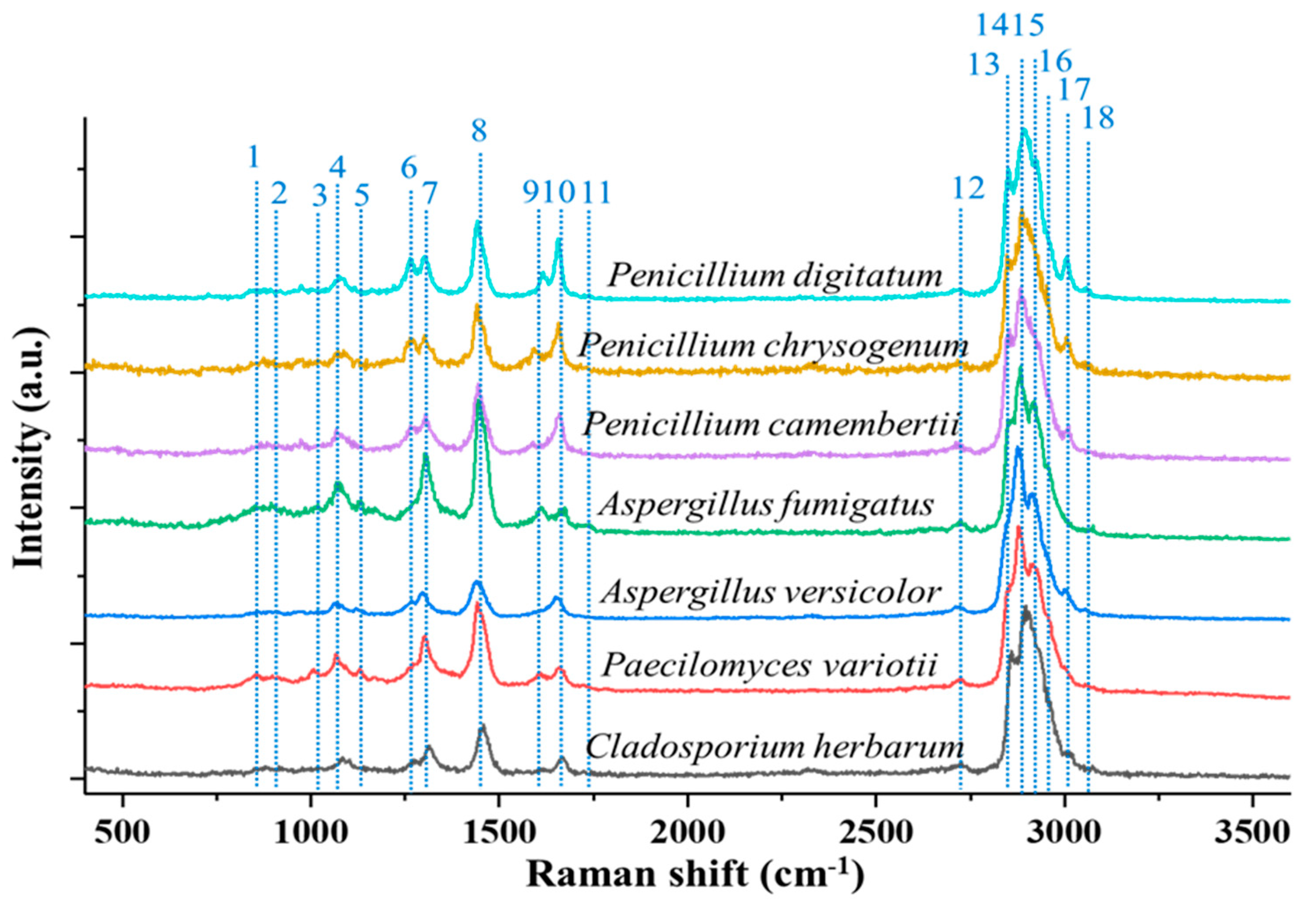 Molecules 27 05966 g007