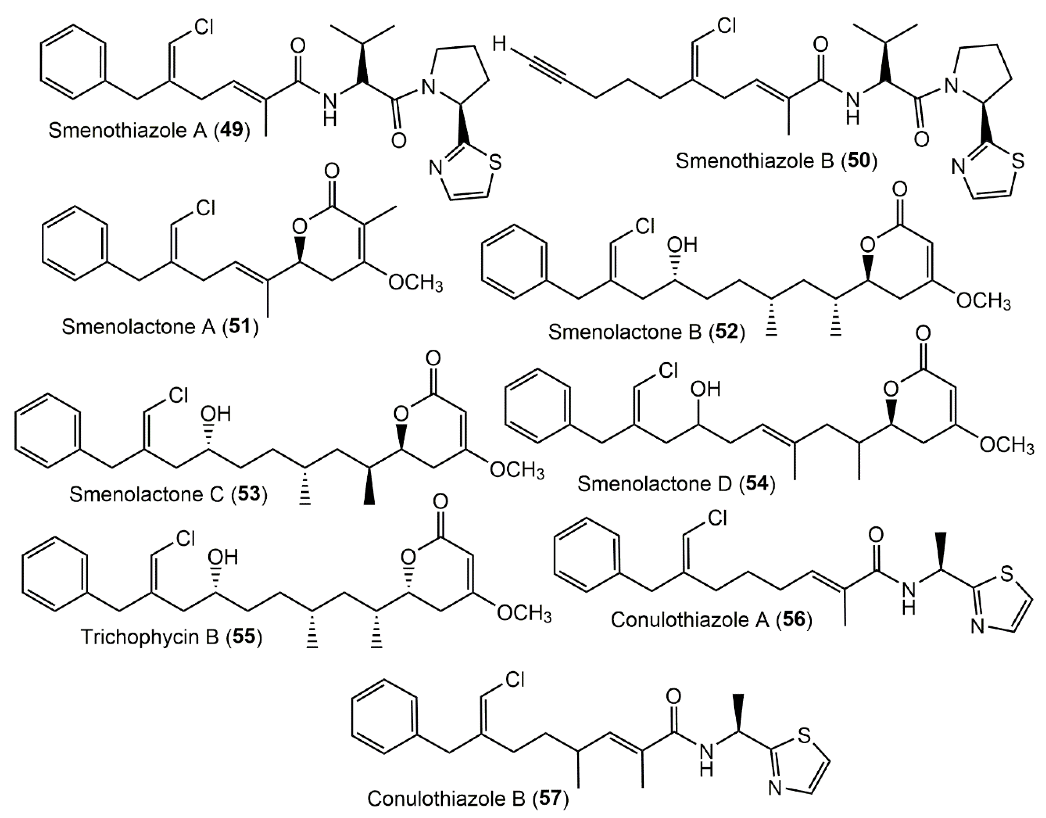 Molecules 27 05969 g006