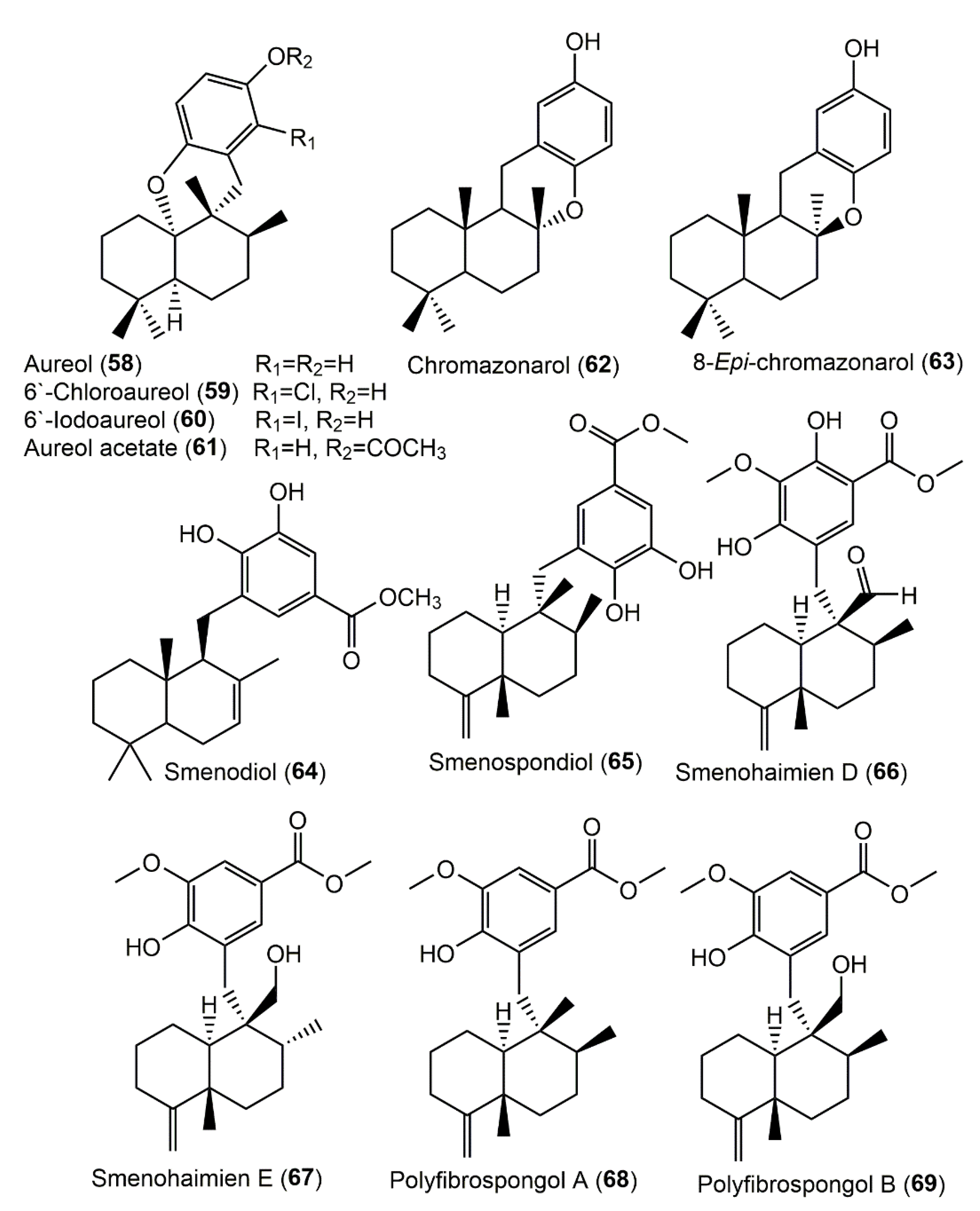 Molecules 27 05969 g007