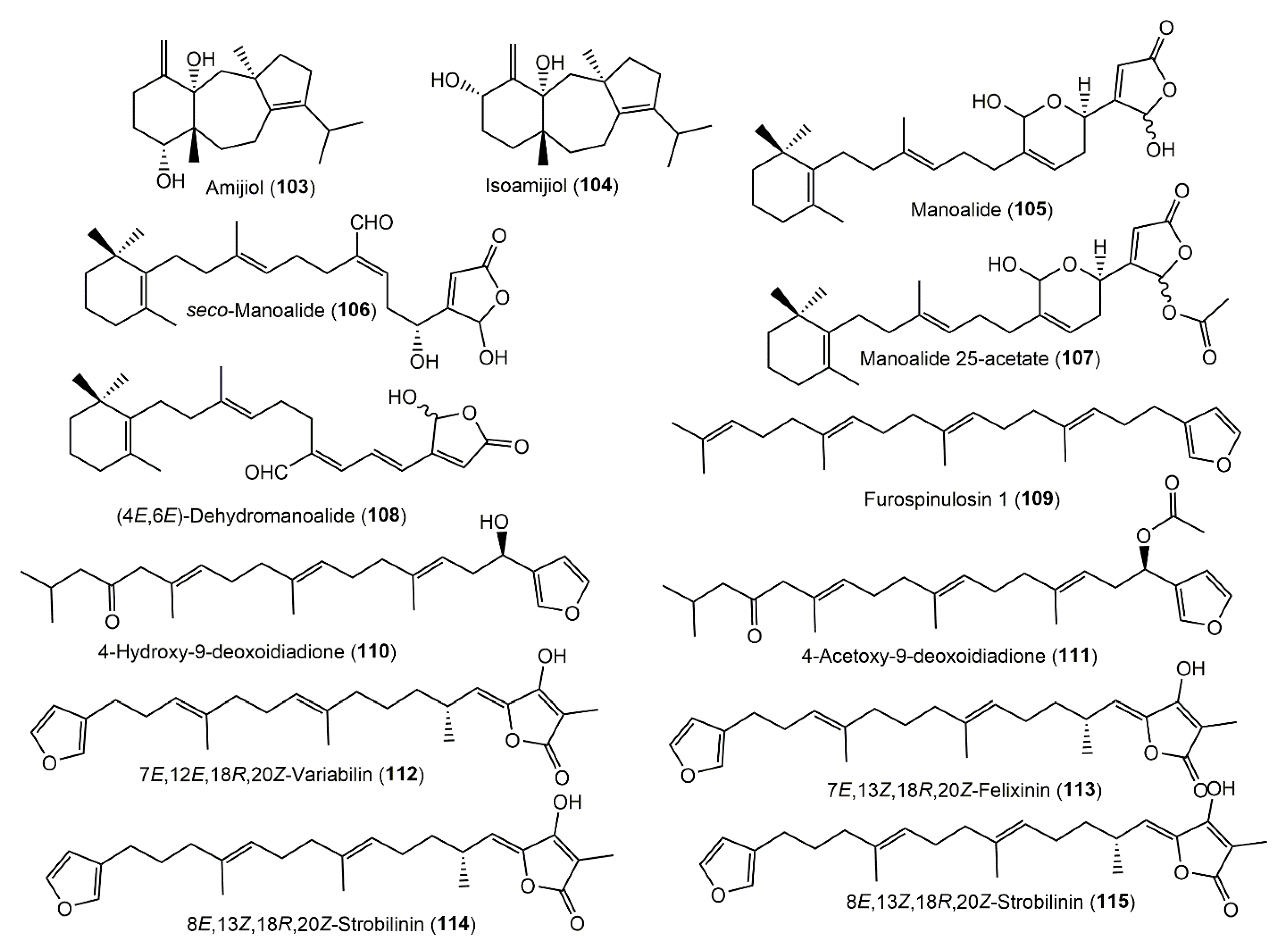 Molecules 27 05969 g012