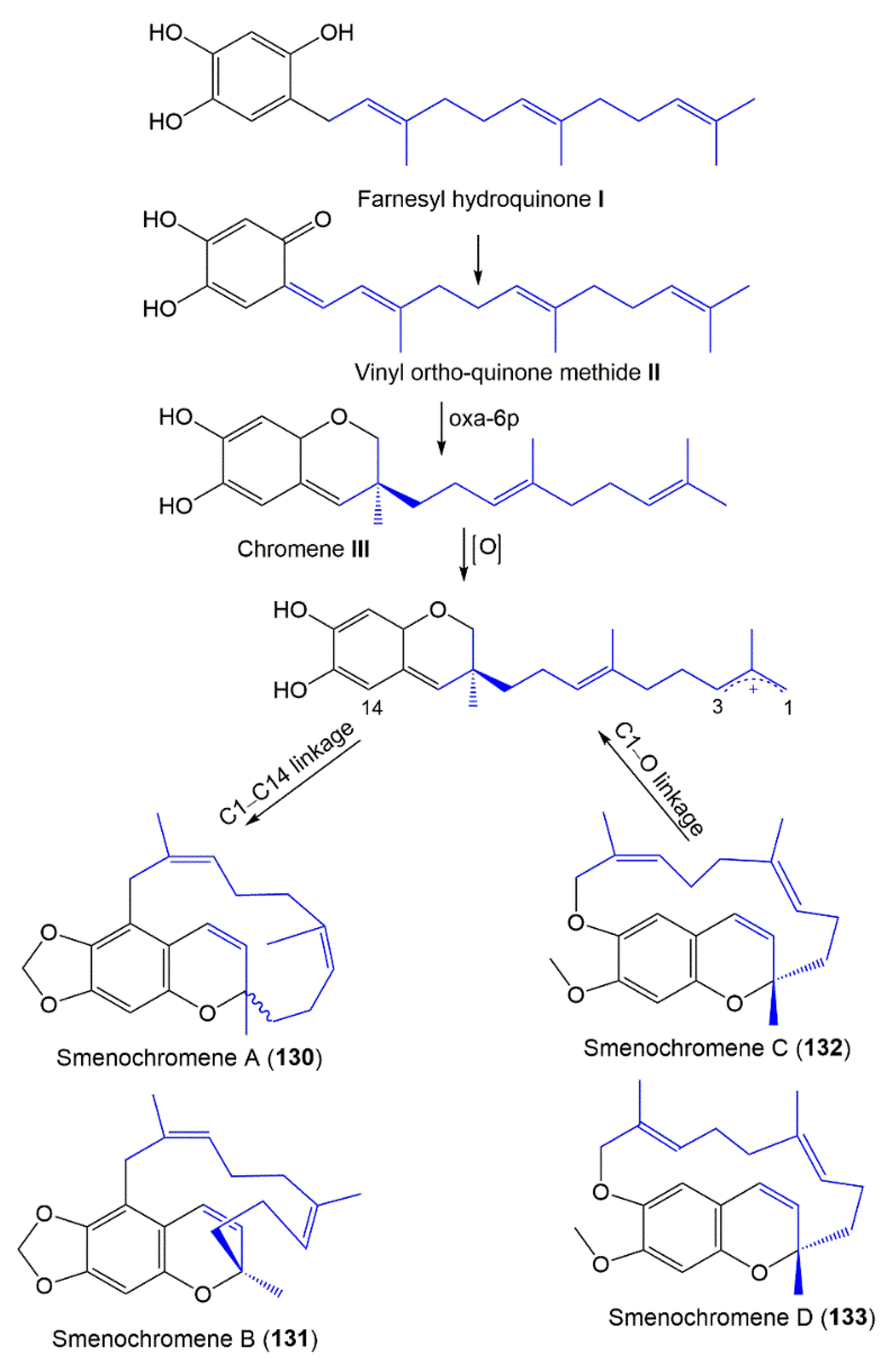 Molecules 27 05969 sch002