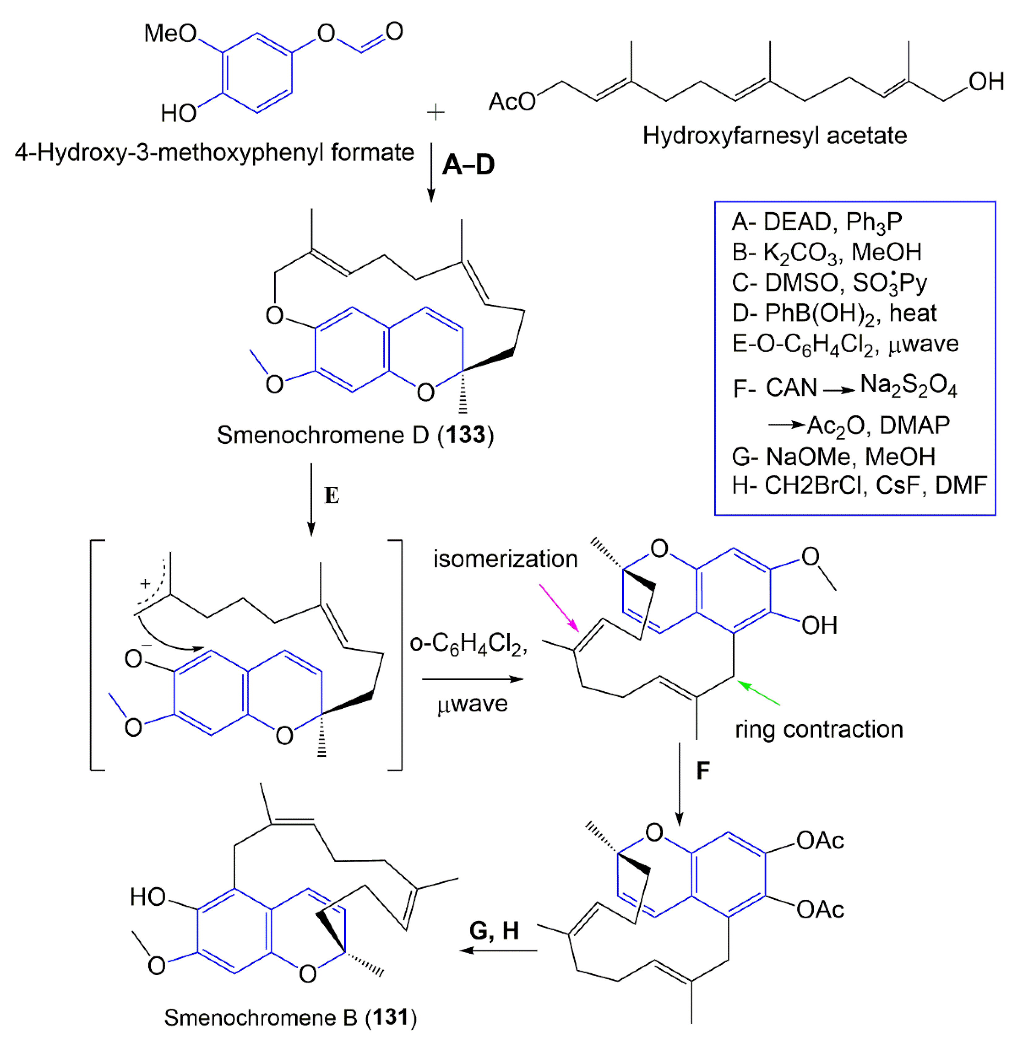 Molecules 27 05969 sch003