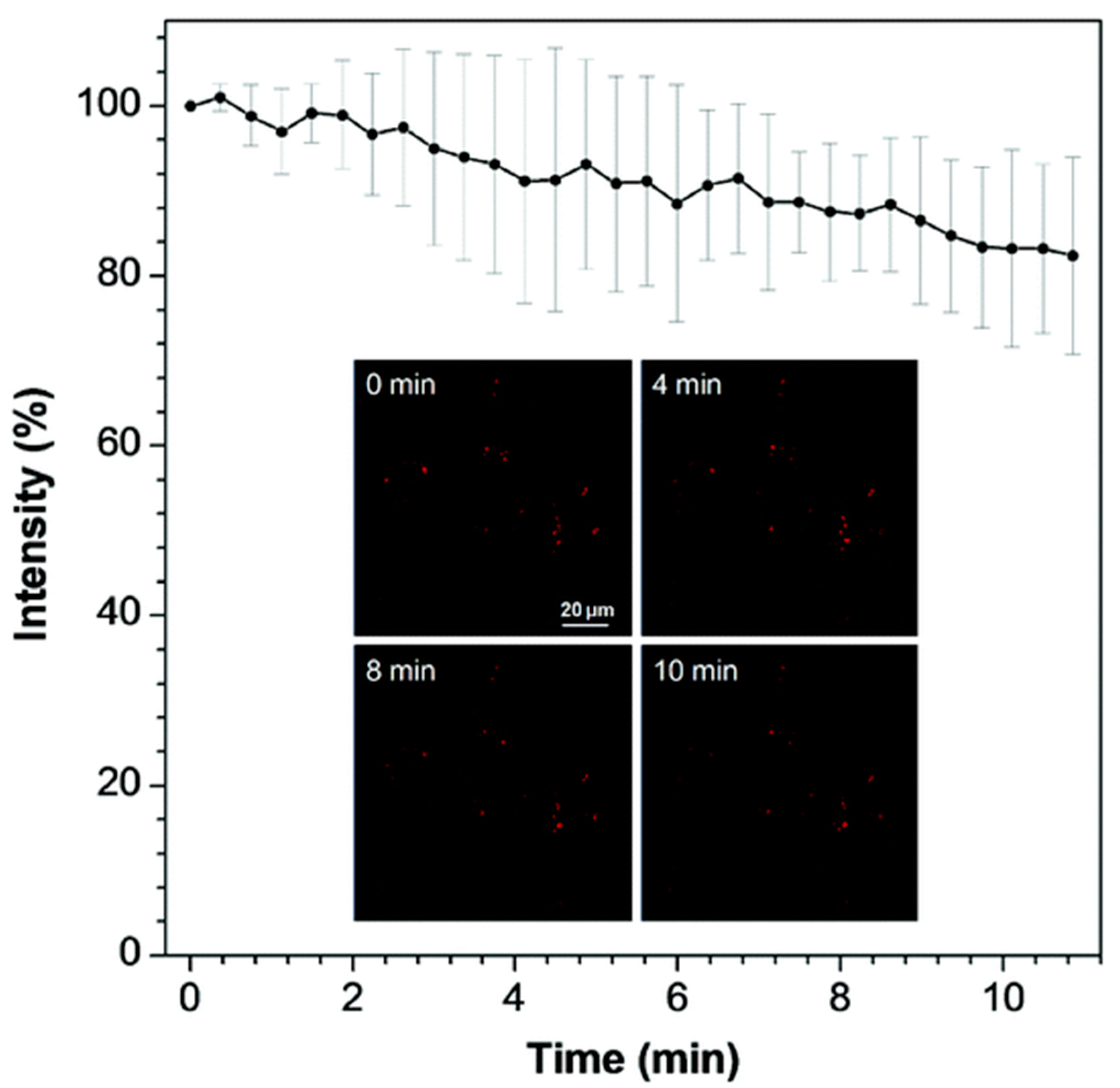 Molecules 27 05976 g006