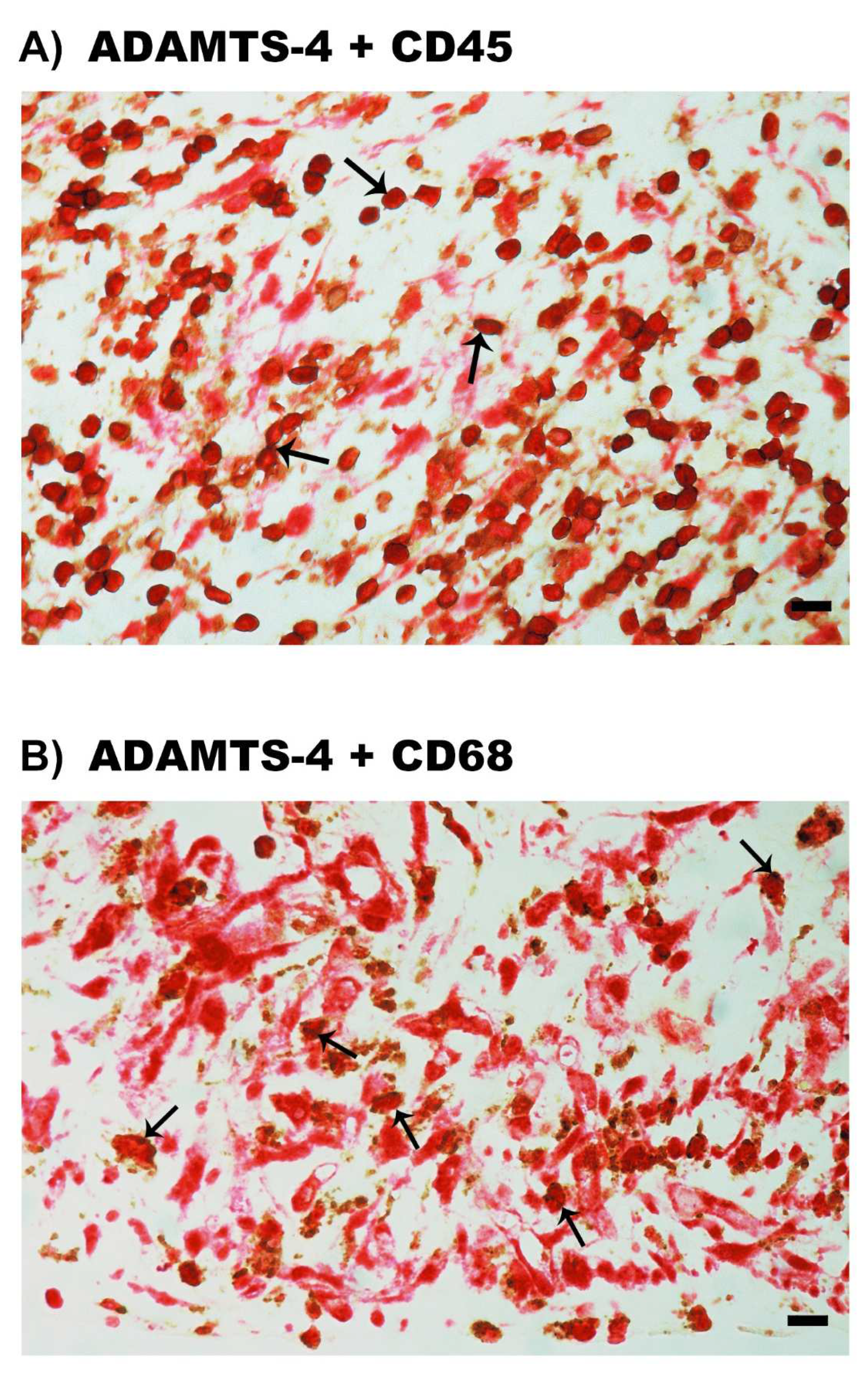 Molecules 27 05977 g005