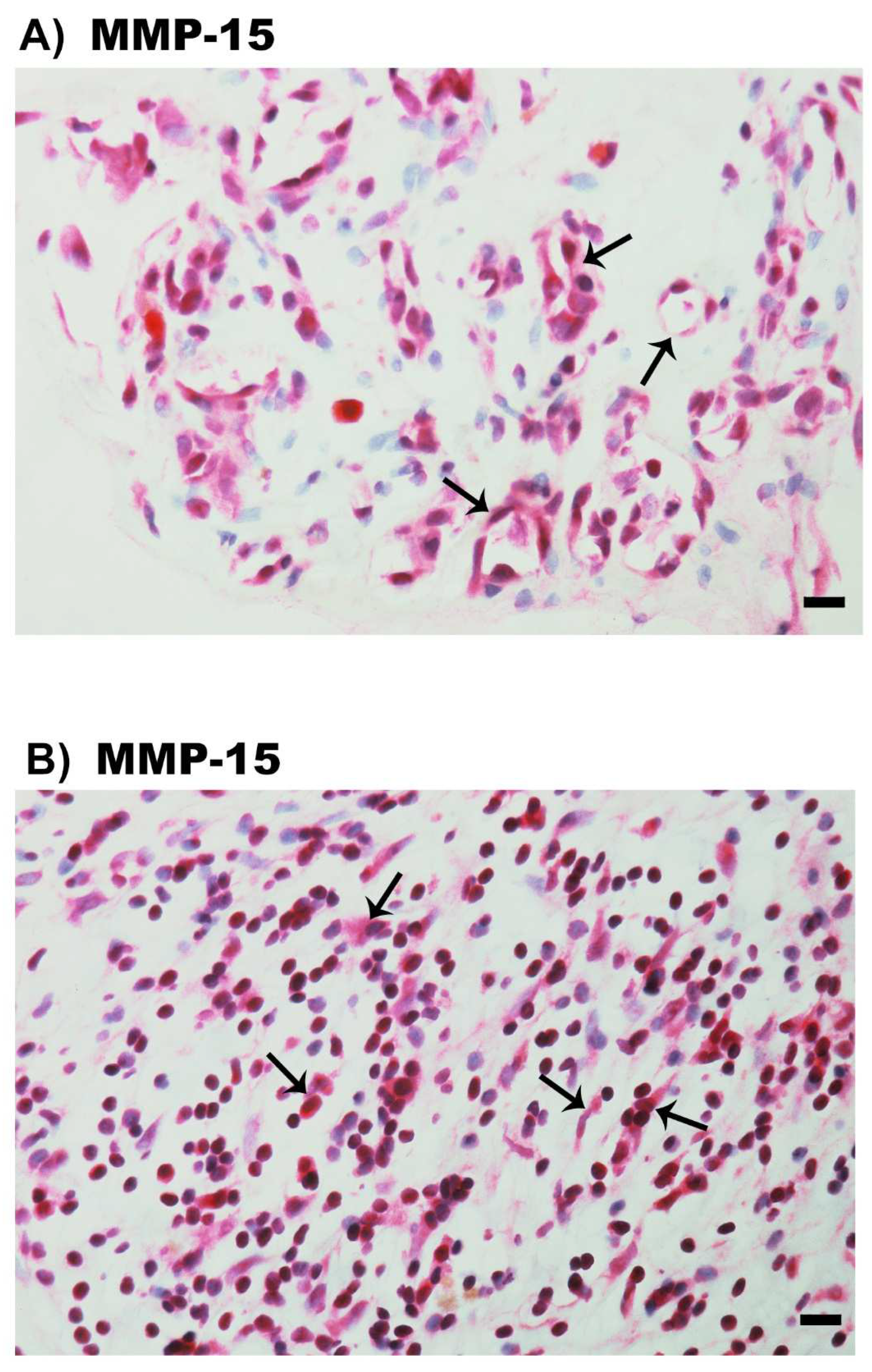 Molecules 27 05977 g006a