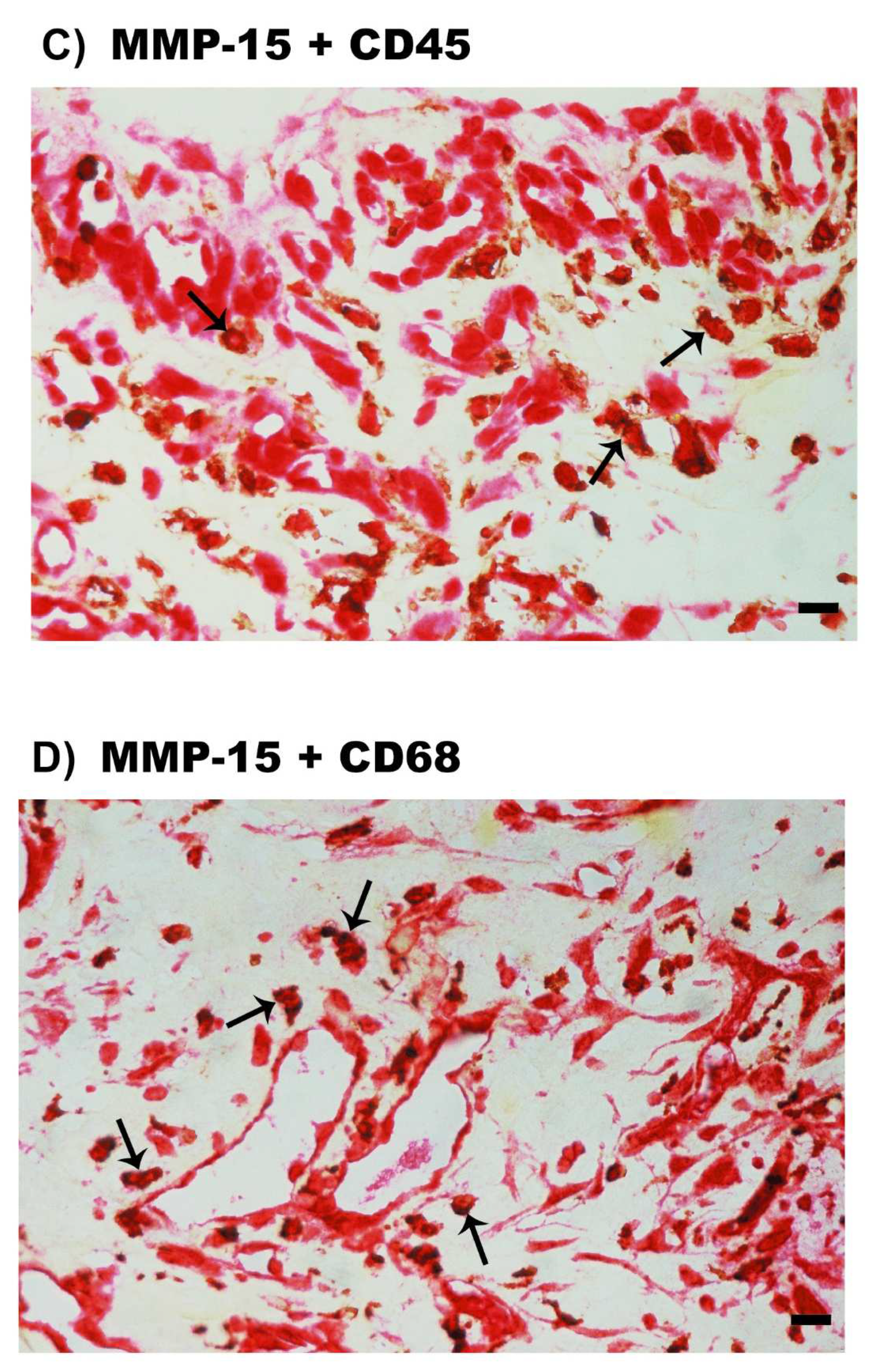 Molecules 27 05977 g006b