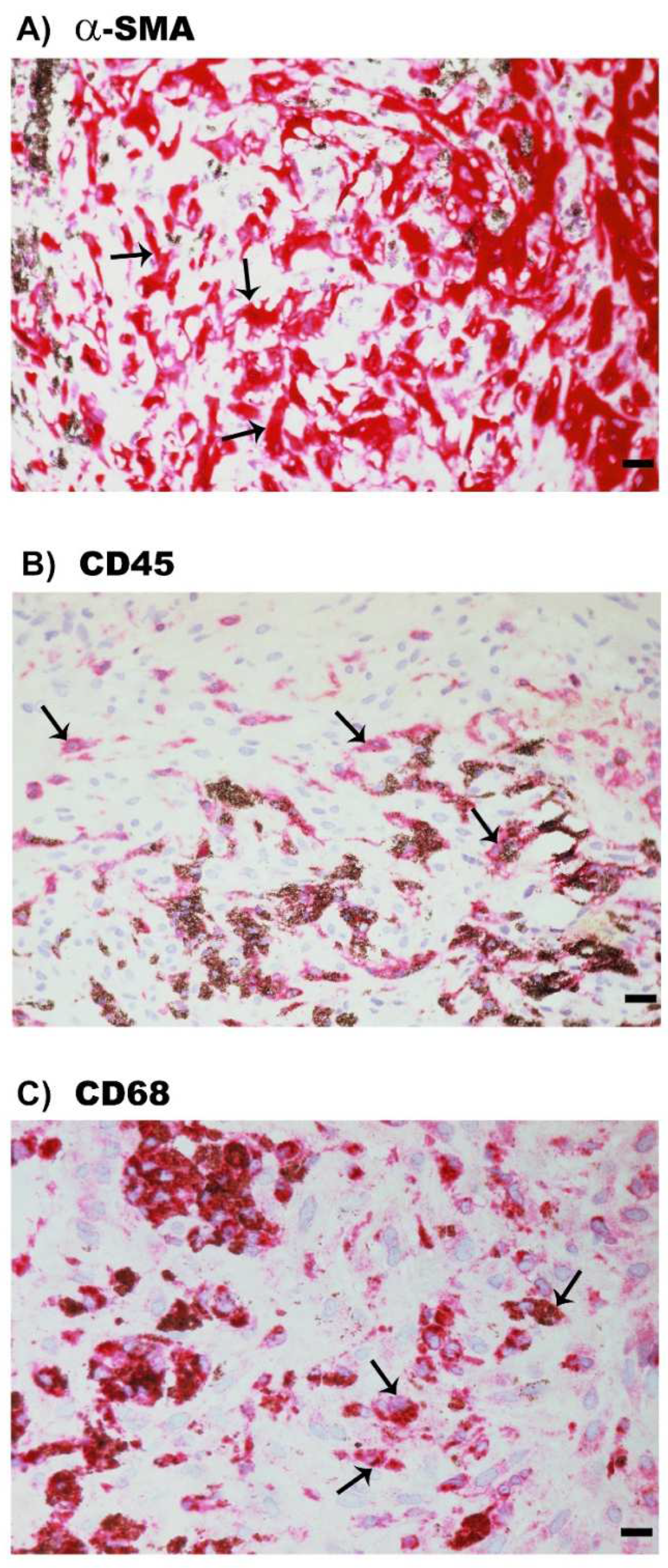 Molecules 27 05977 g007