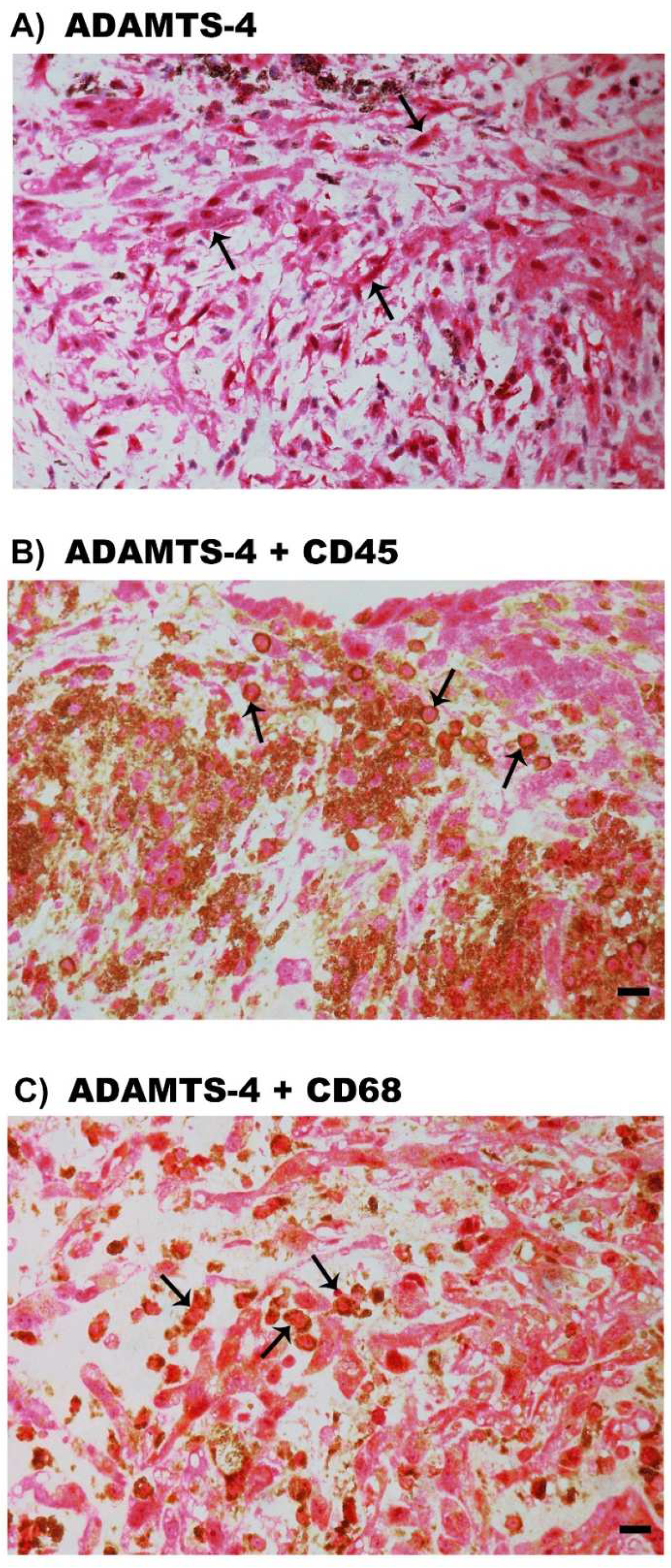 Molecules 27 05977 g008