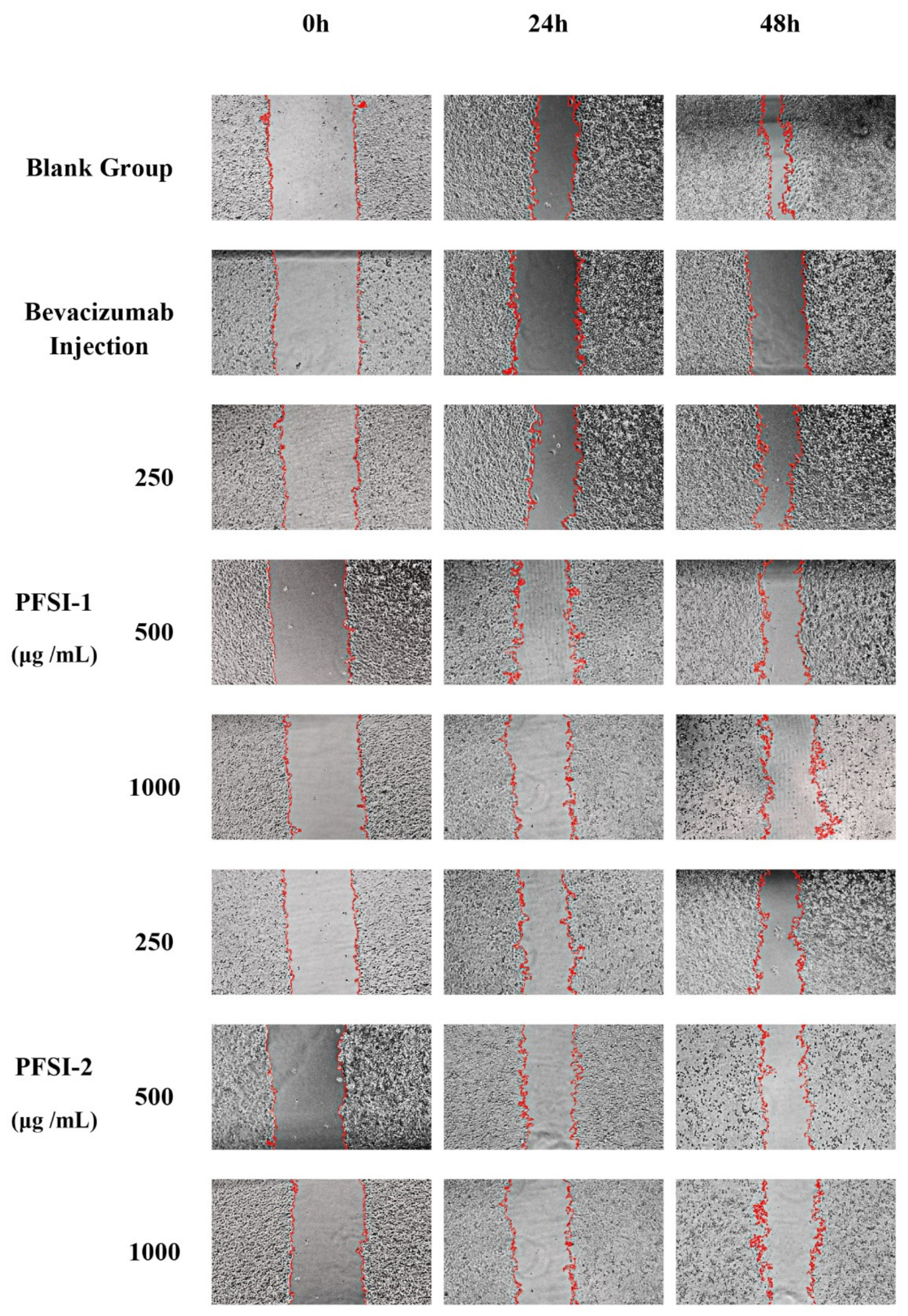 Molecules 27 05978 g010