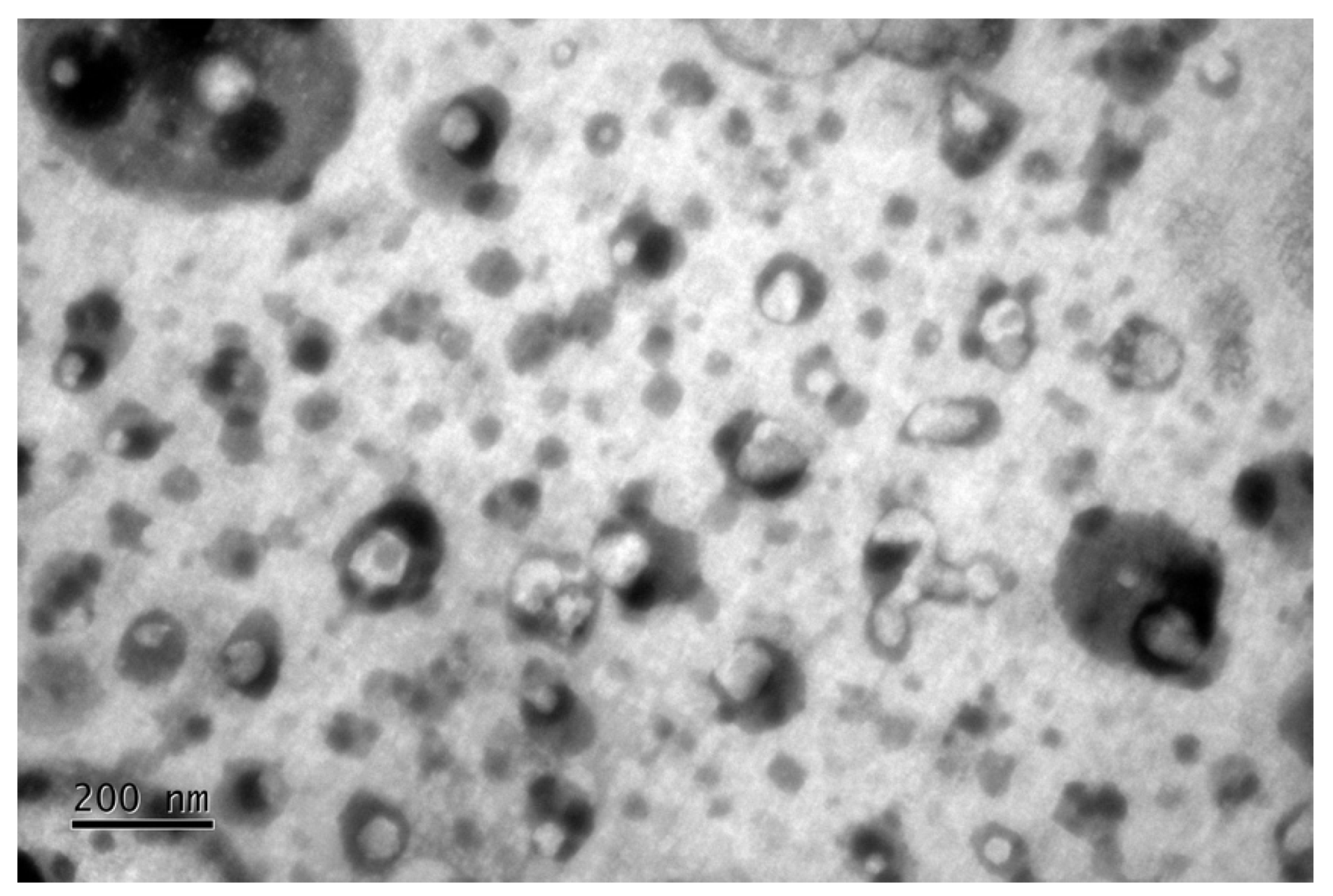 Molecules 27 05982 g005