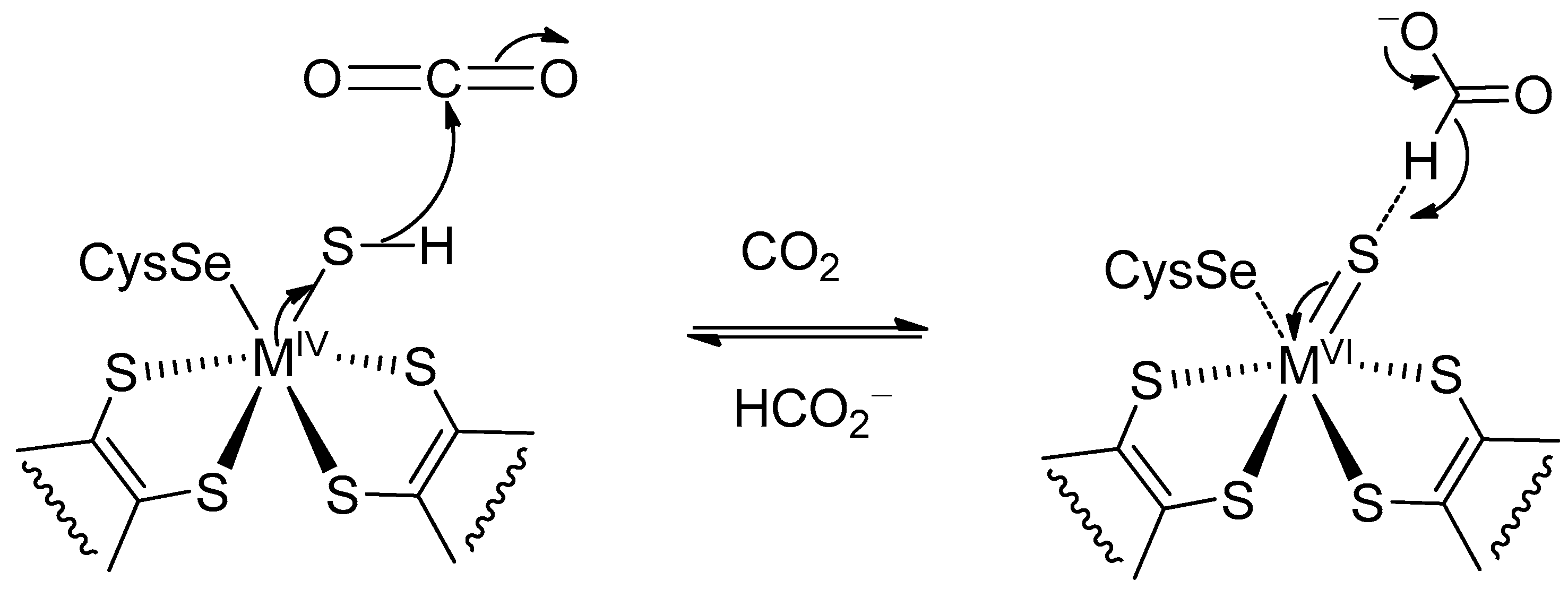 Molecules 27 05989 sch001