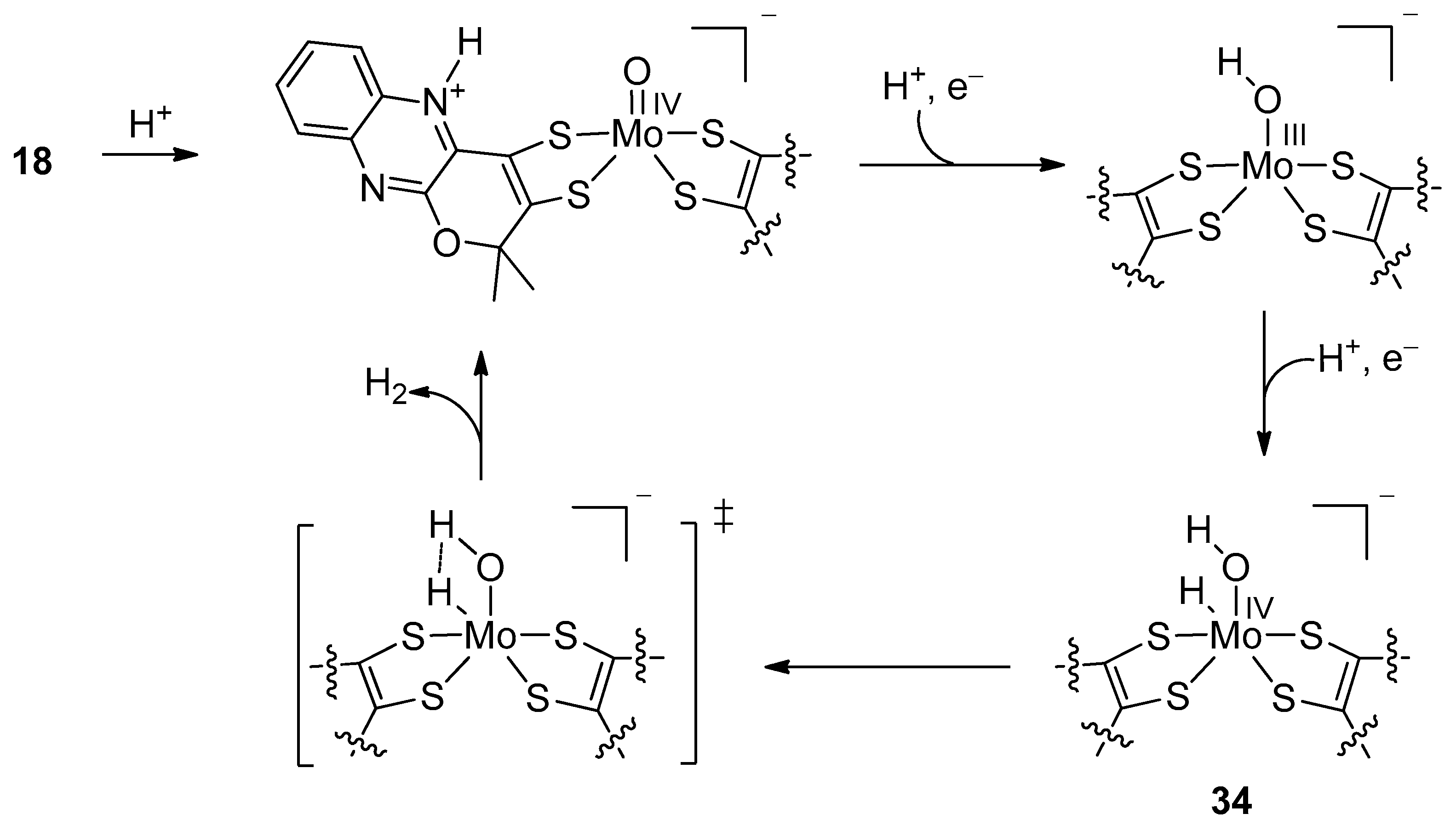 Molecules 27 05989 sch011