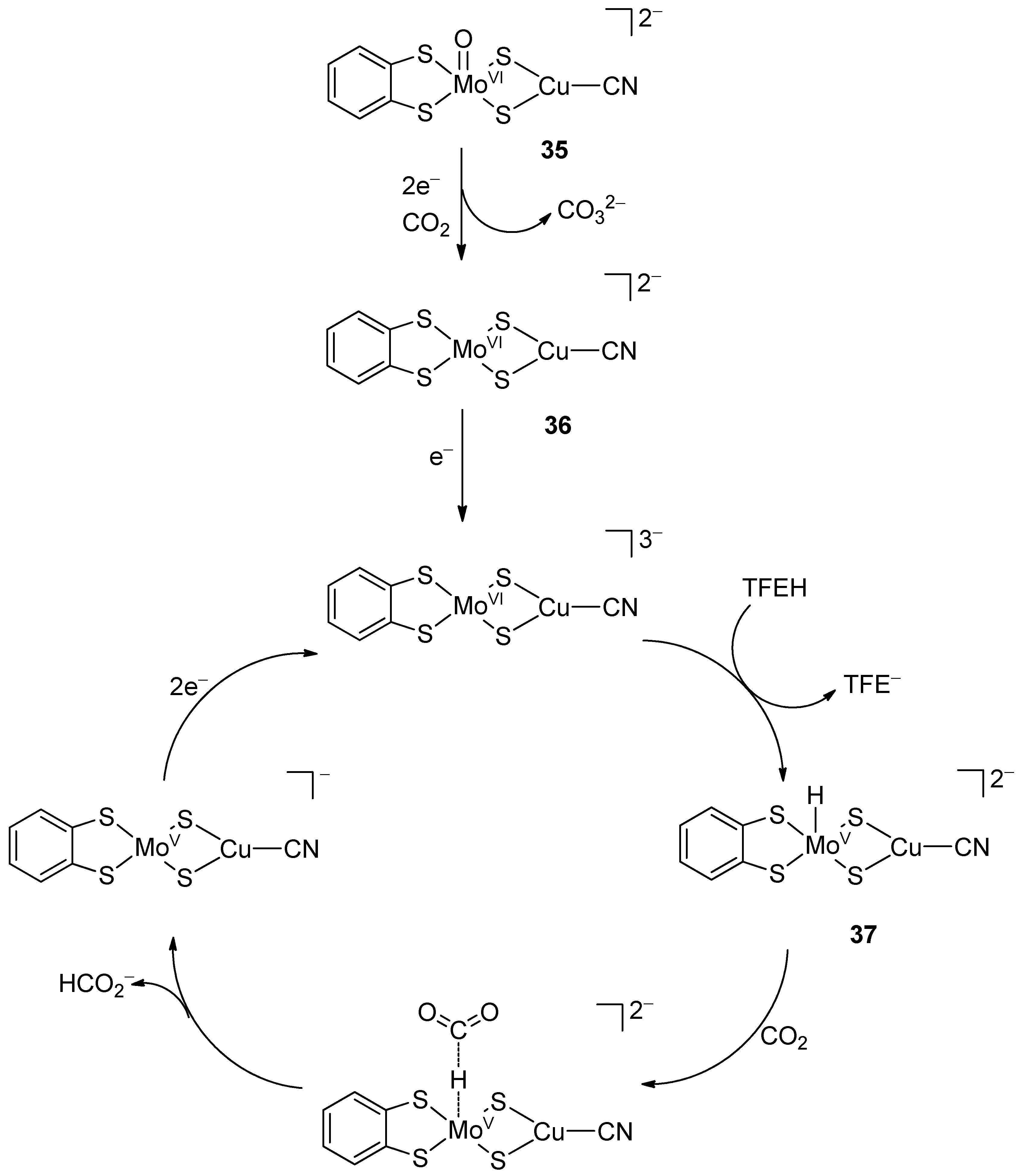 Molecules 27 05989 sch012