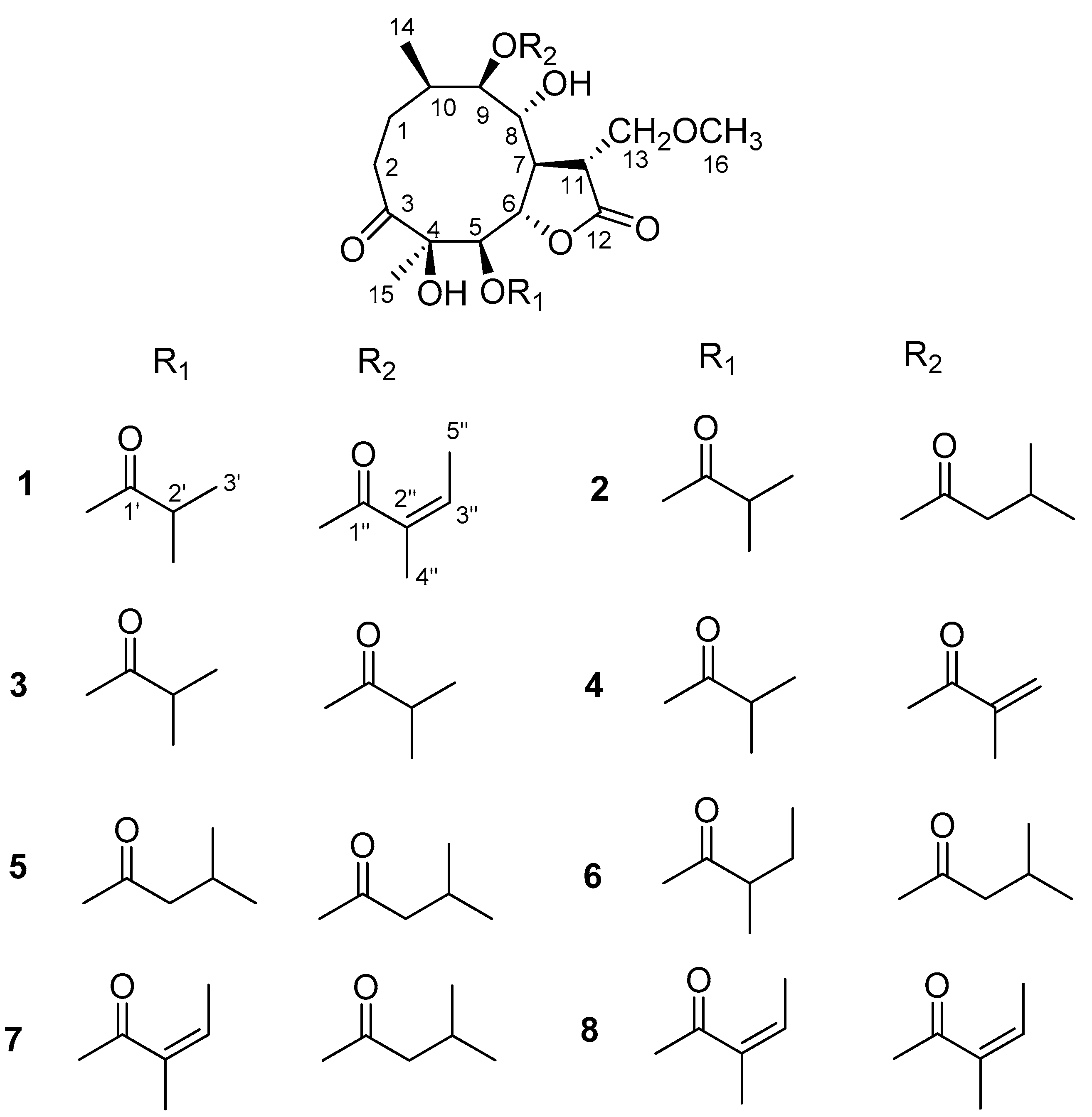 Molecules 27 05991 g002