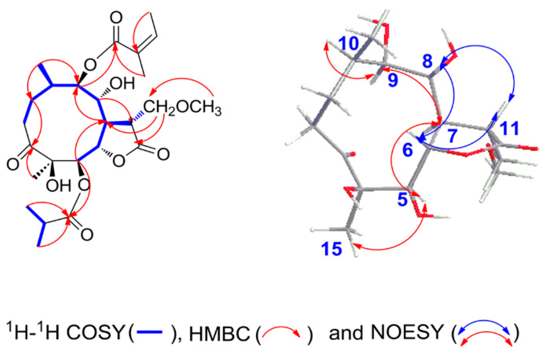 Molecules 27 05991 g003