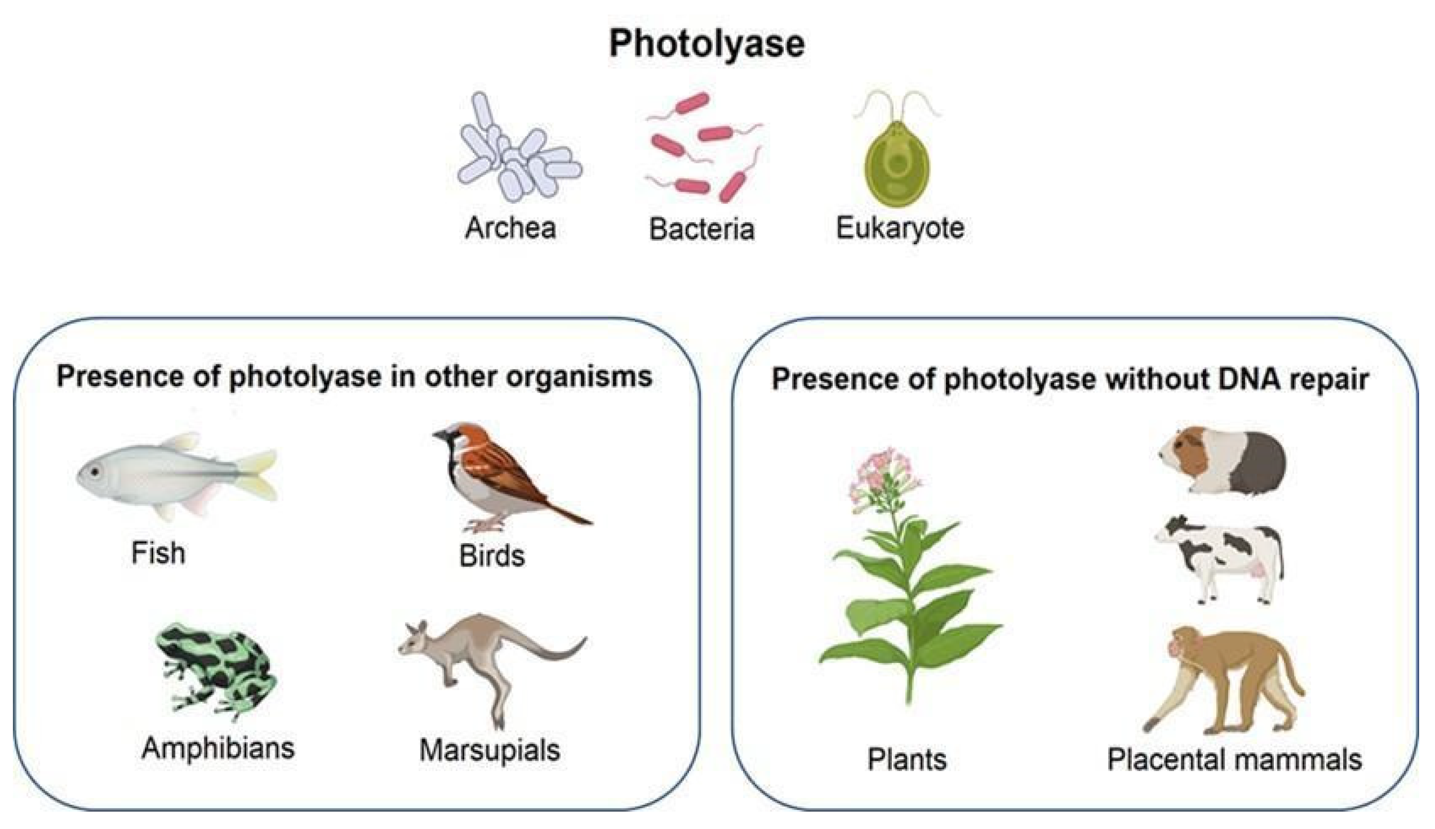 Molecules 27 05998 g001