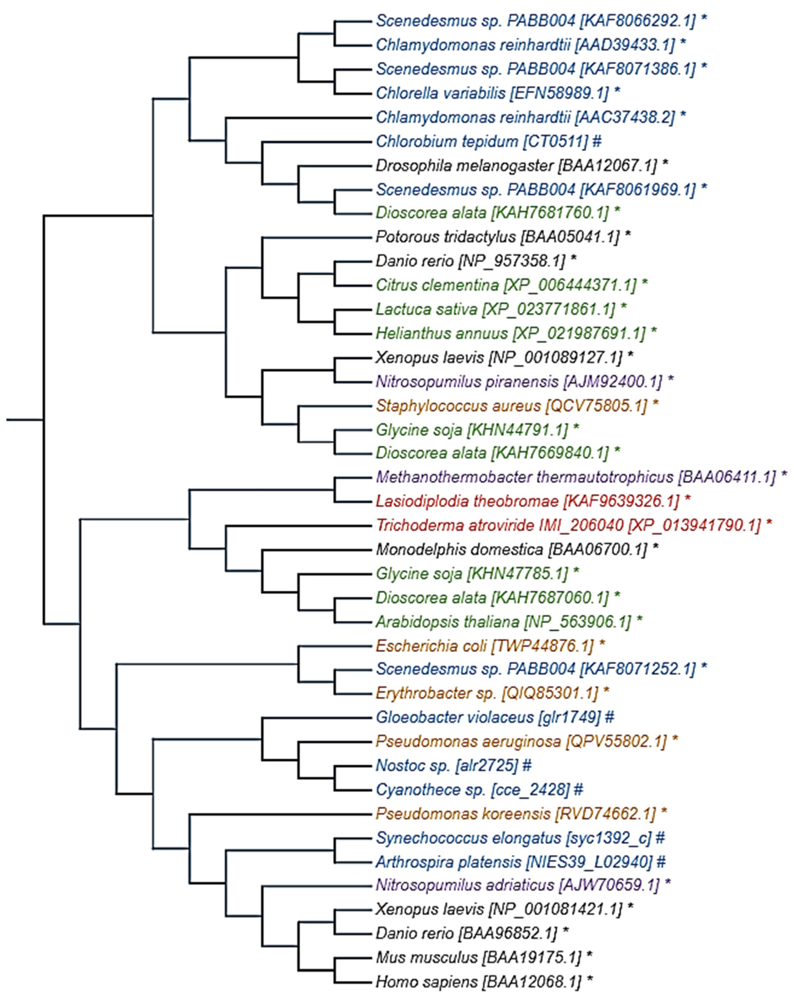 Molecules 27 05998 g002