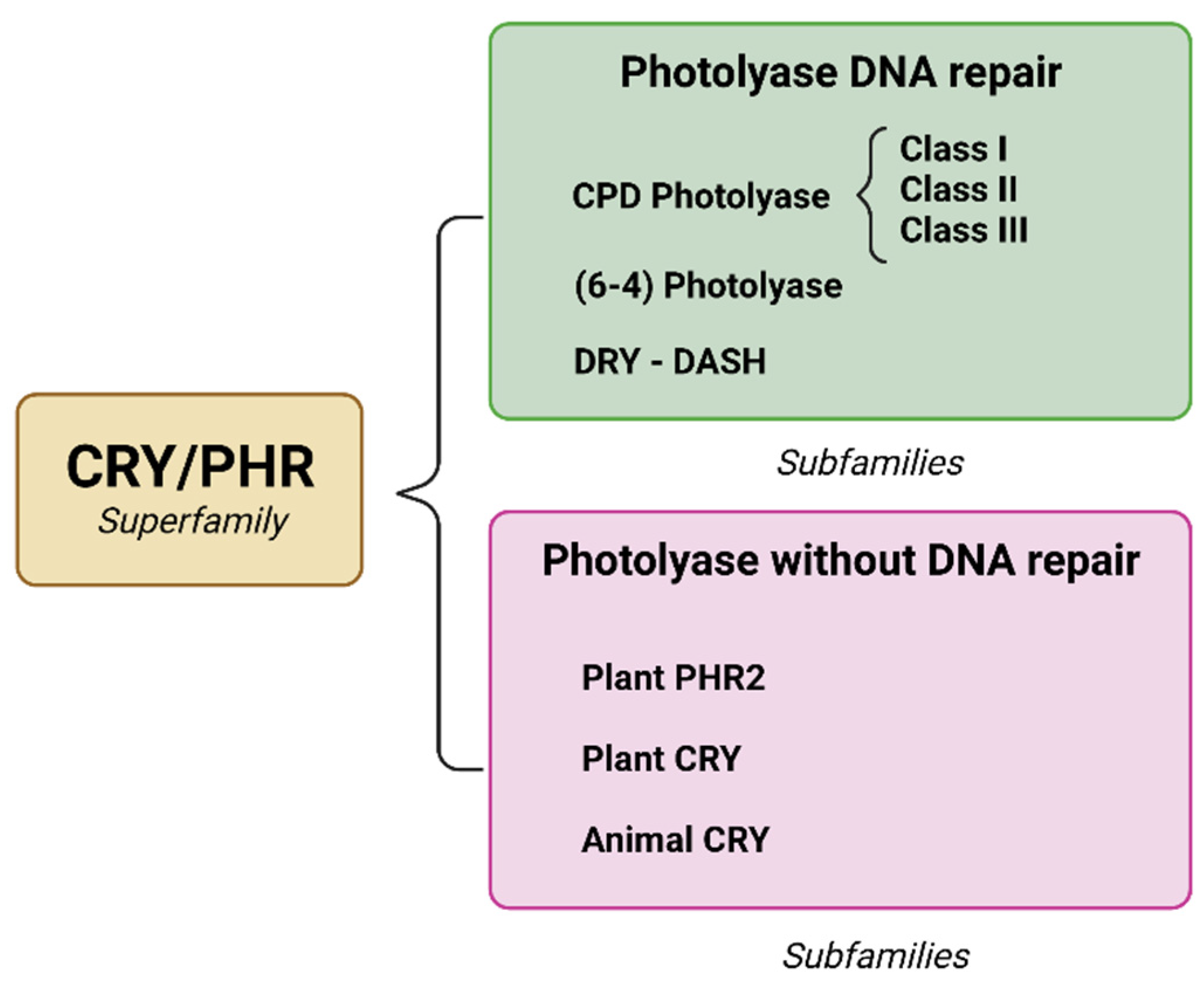 Molecules 27 05998 g003