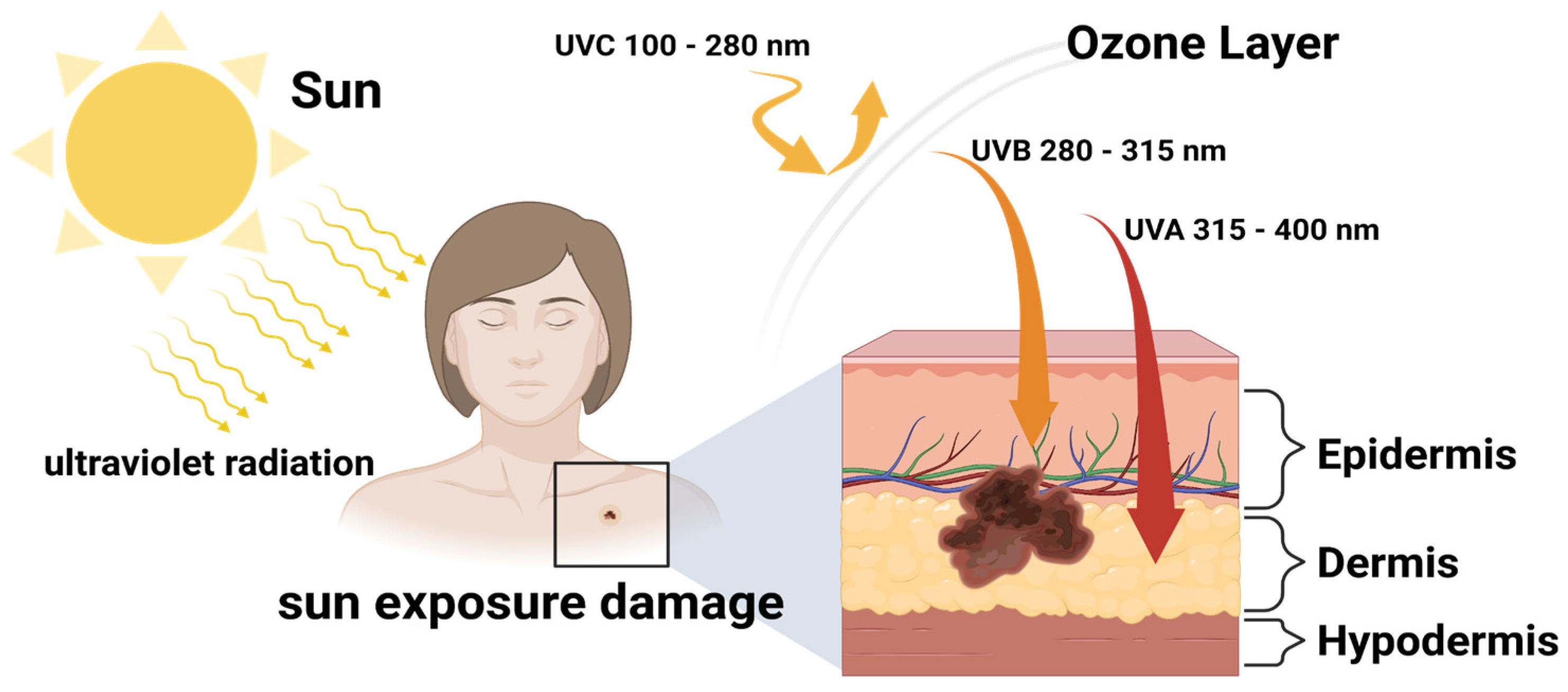Molecules 27 05998 g004
