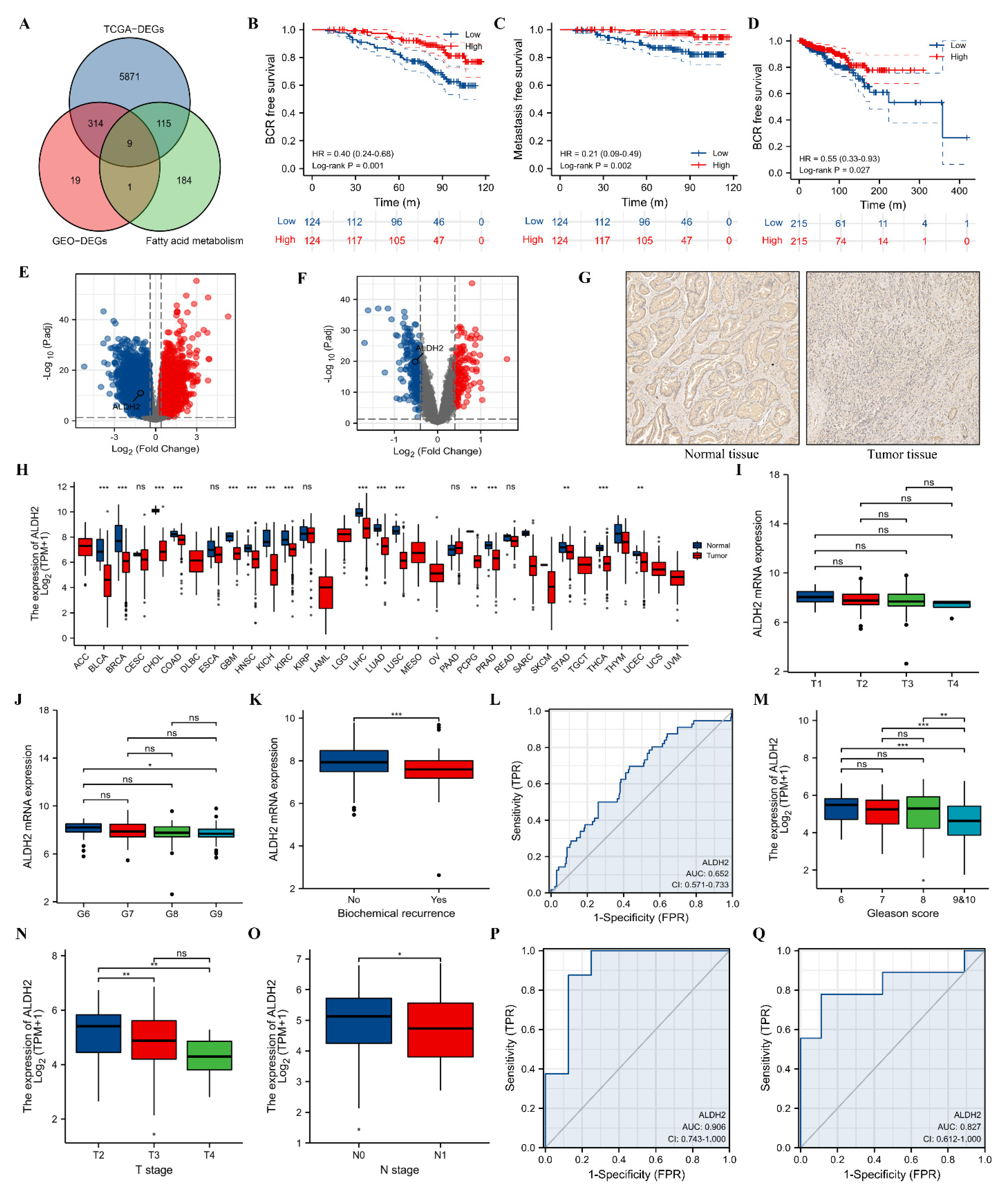 Molecules 27 06000 g001 Molecules 27 06000 g001