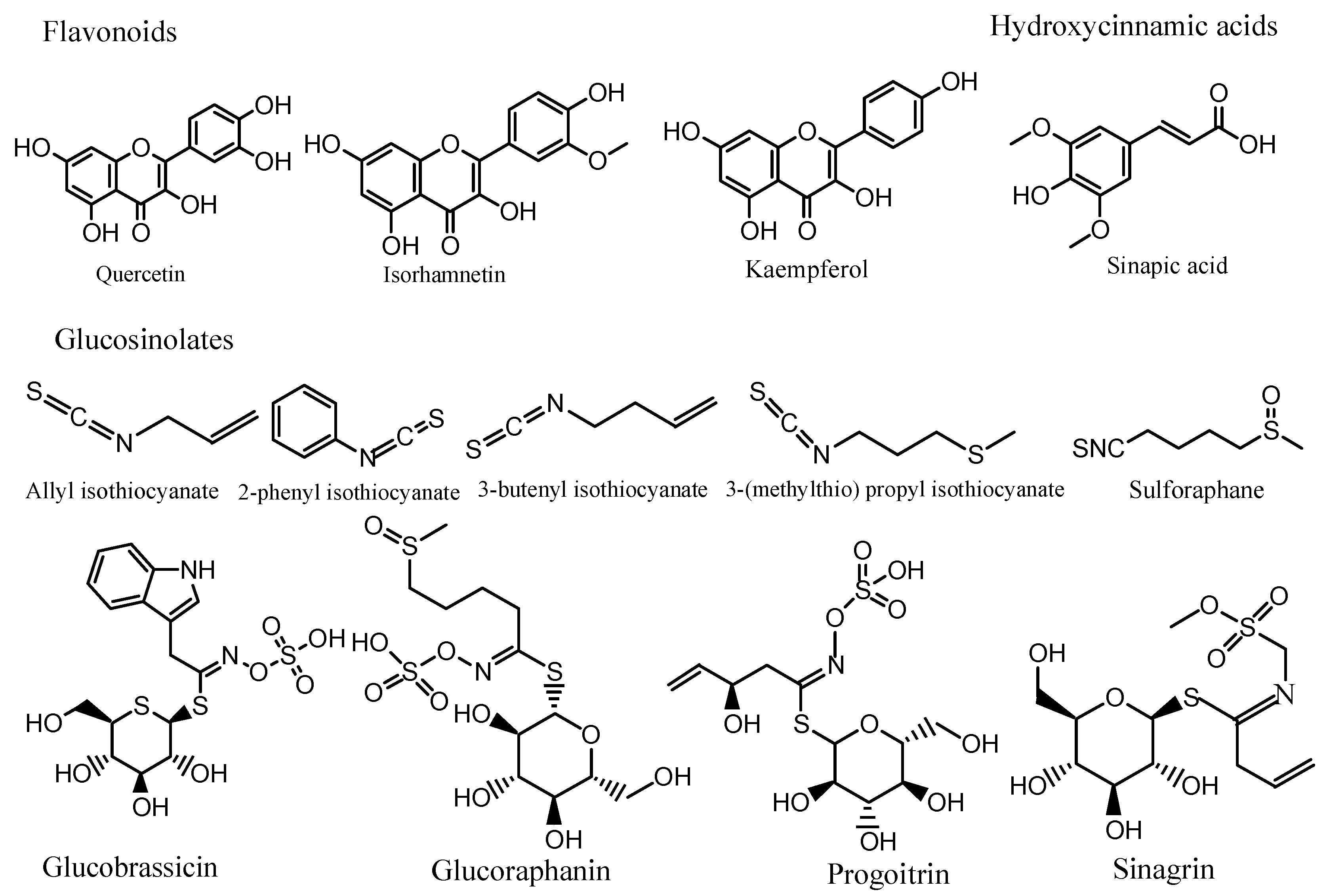Molecules 27 06008 g001