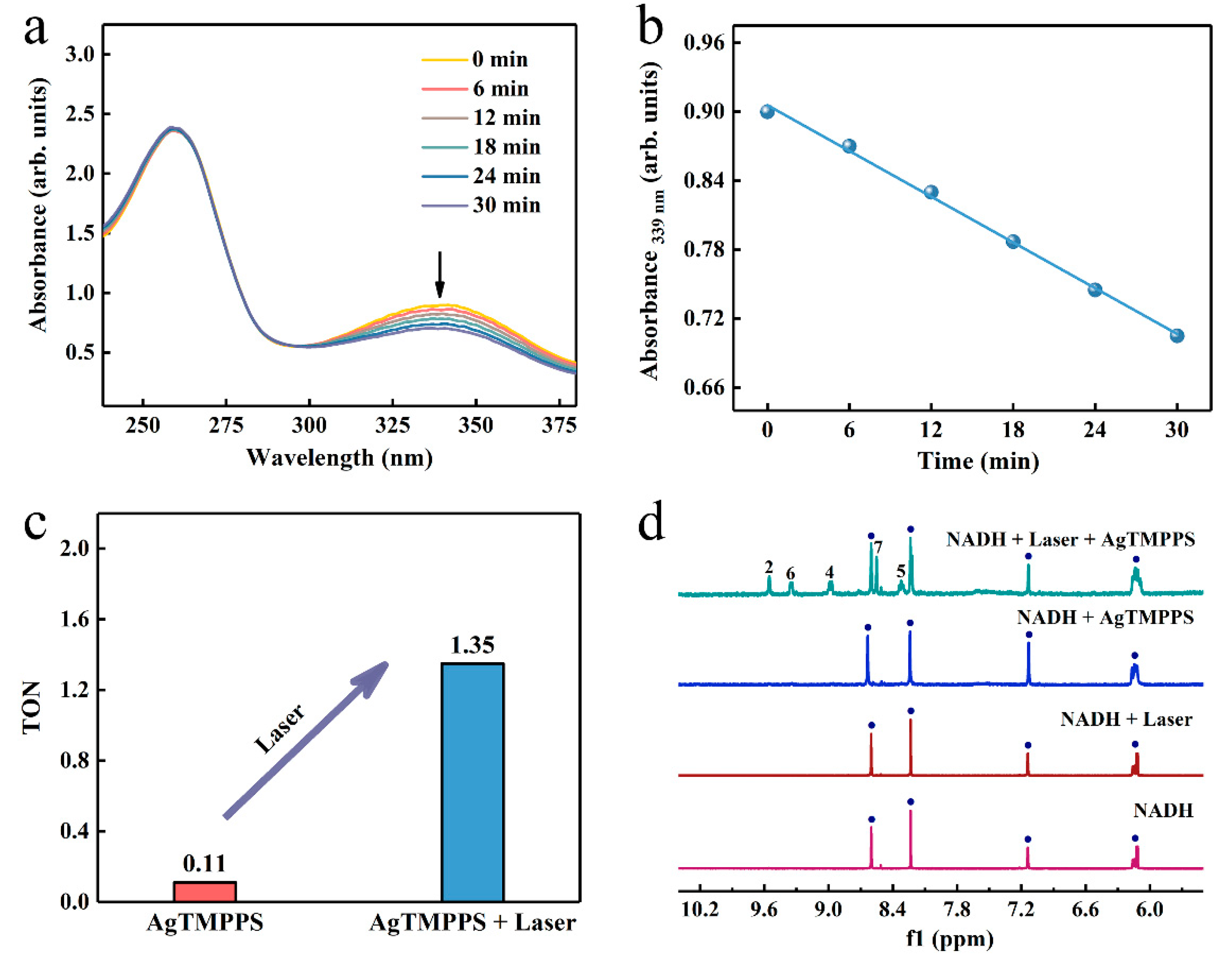 Molecules 27 06009 g006
