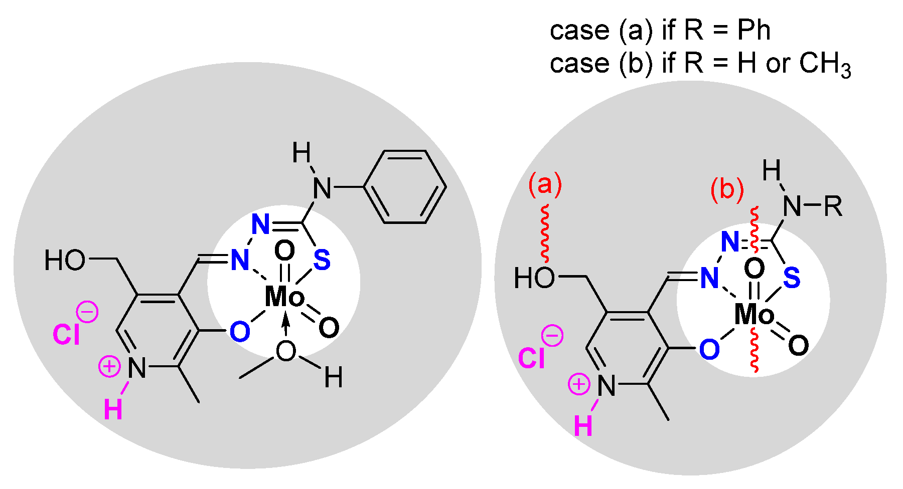 Molecules 27 06011 g005