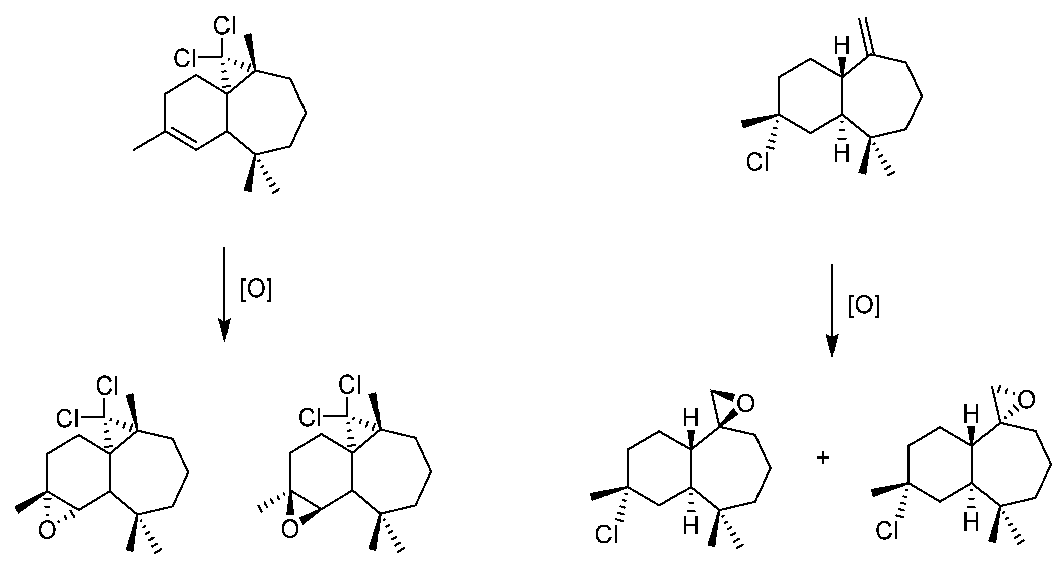 Molecules 27 06011 g014