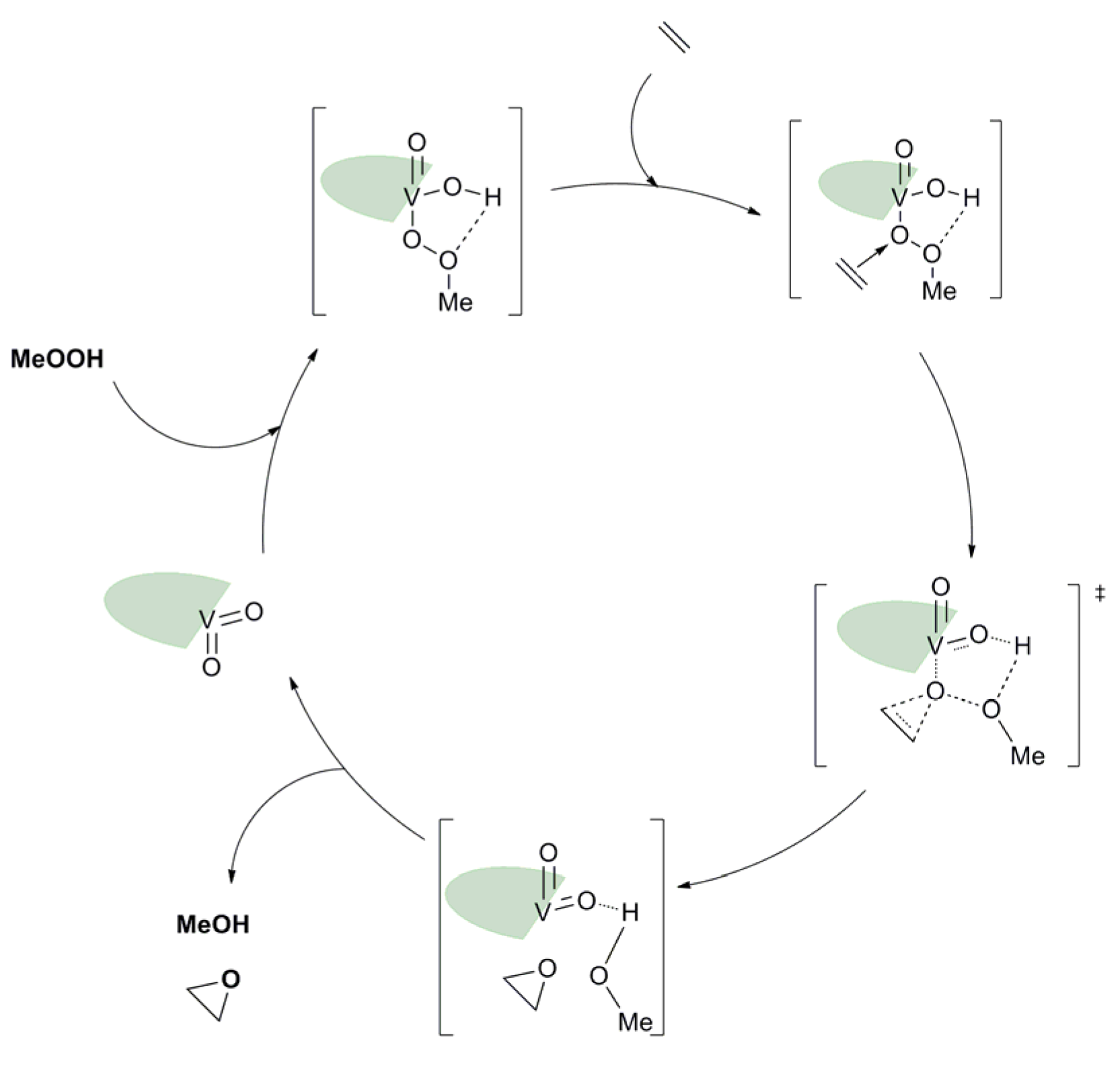 Molecules 27 06011 g021