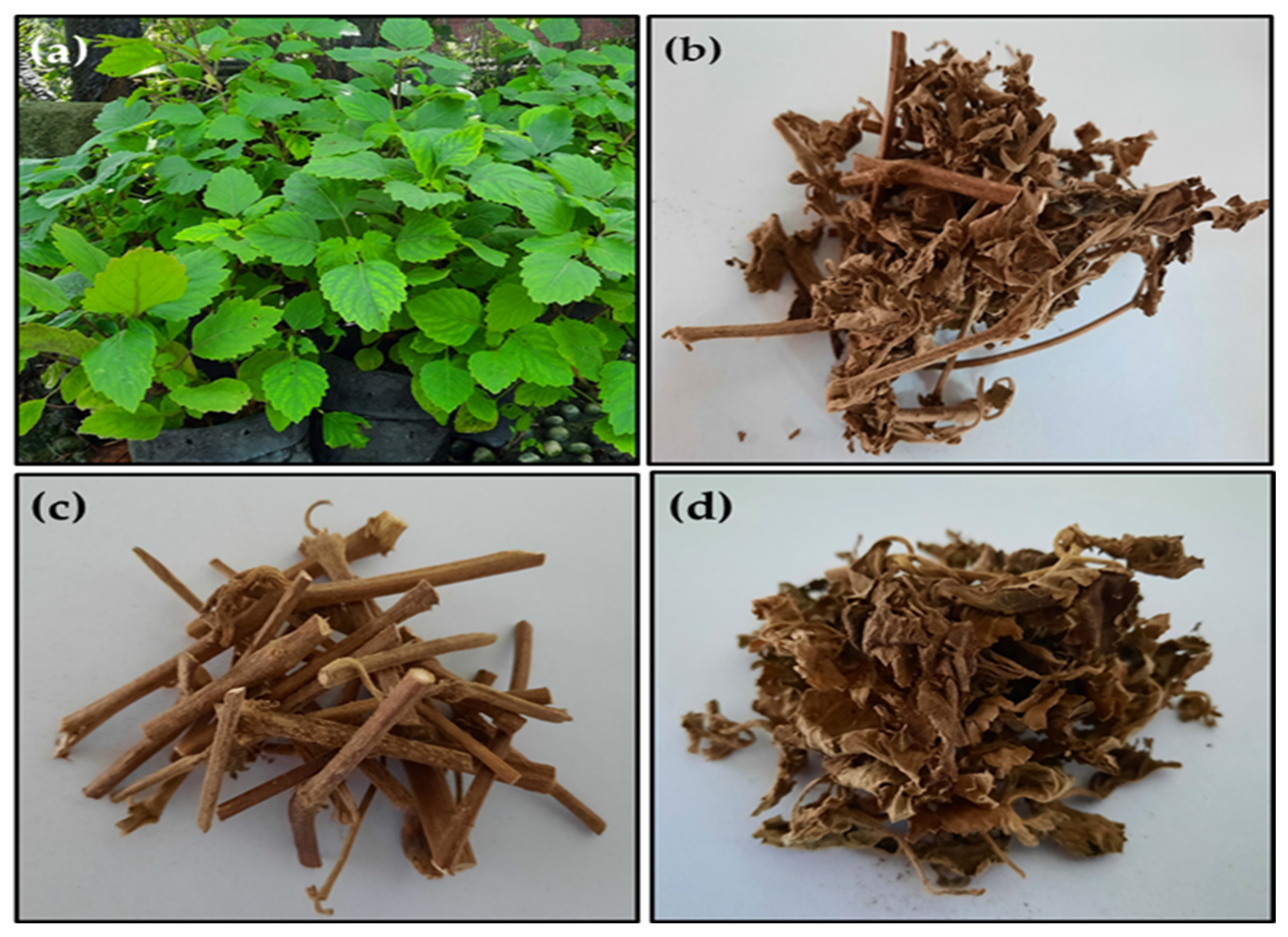 Molecules 27 06025 g005