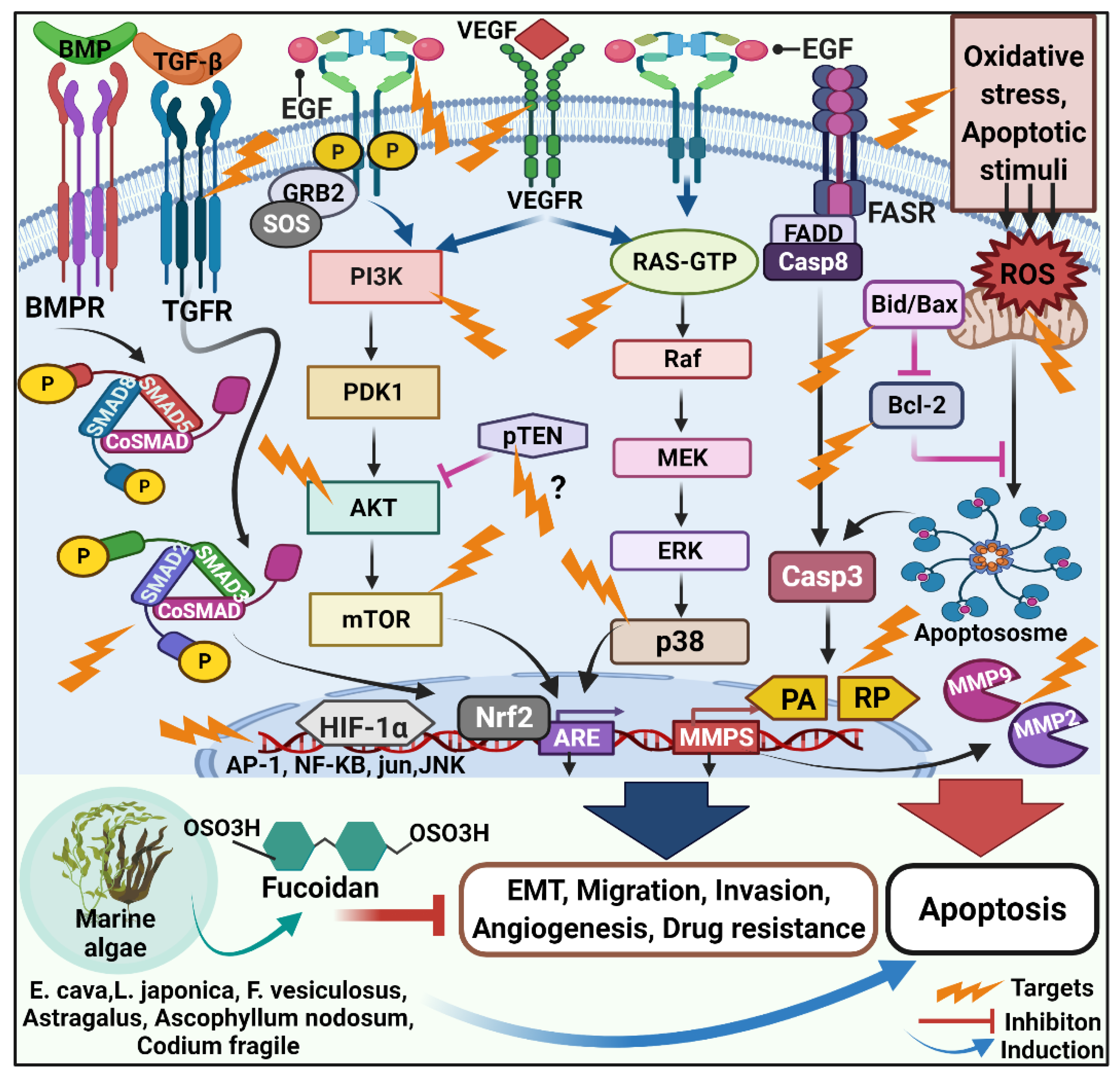 Molecules 27 06032 g001