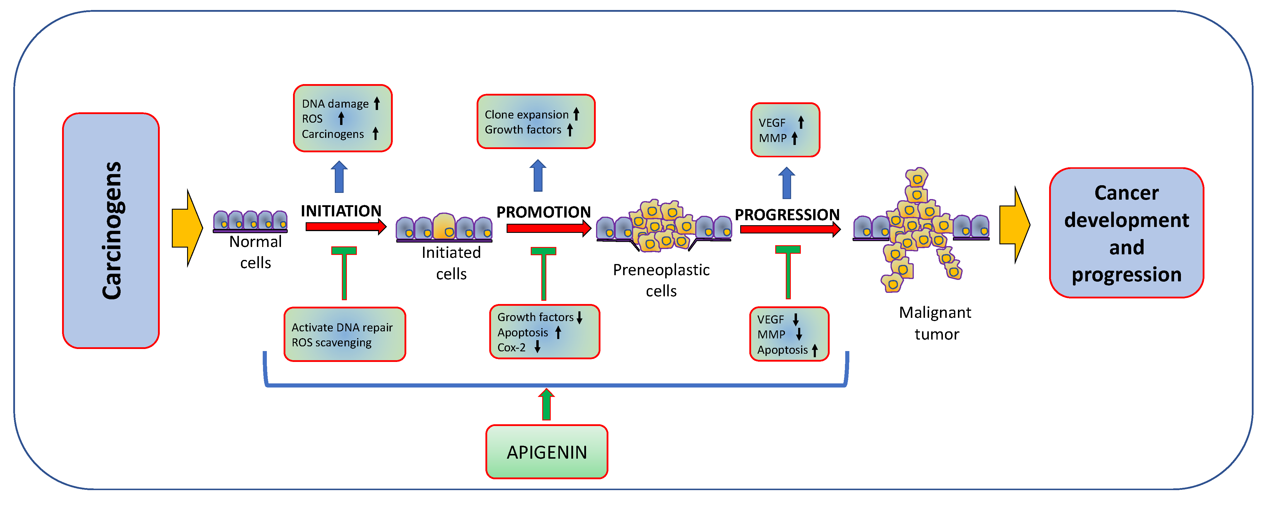 Molecules 27 06051 g003