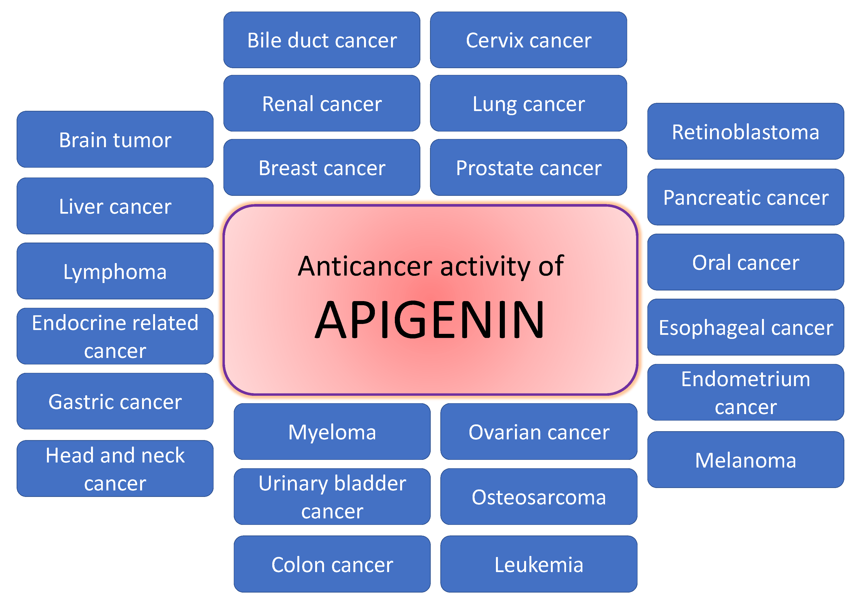 Molecules 27 06051 g004