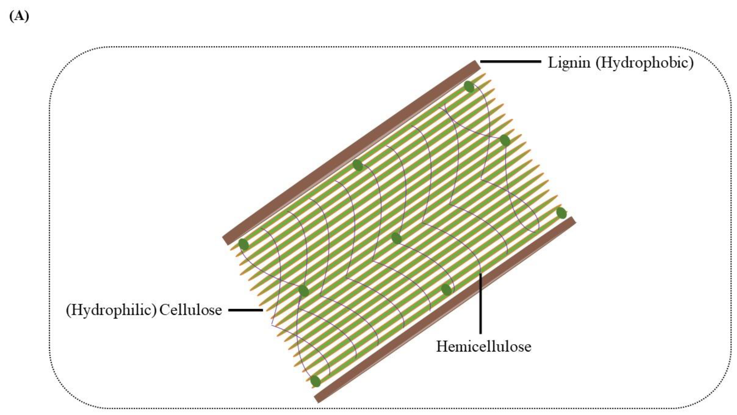 Molecules 27 06055 g001a