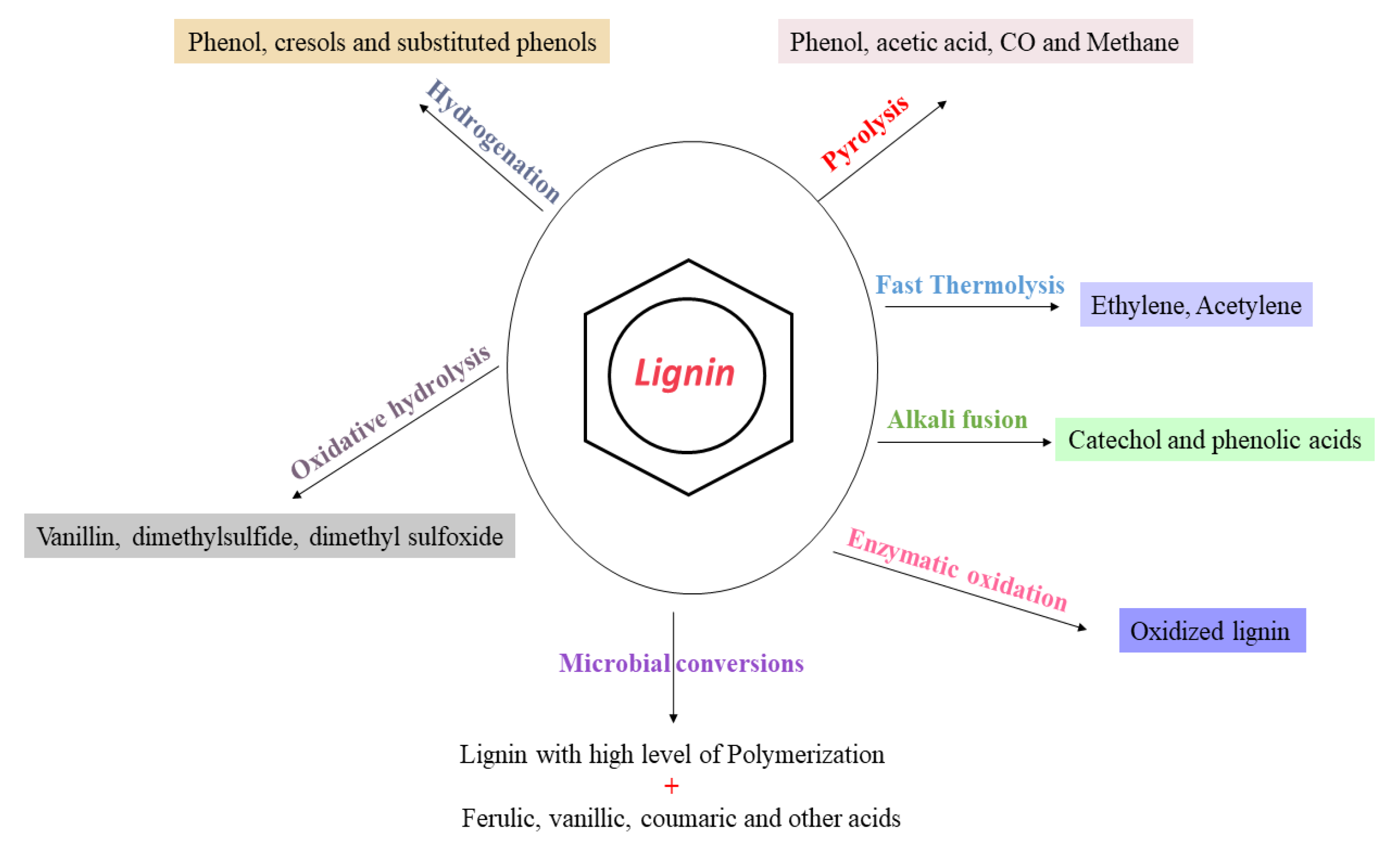 Molecules 27 06055 g003