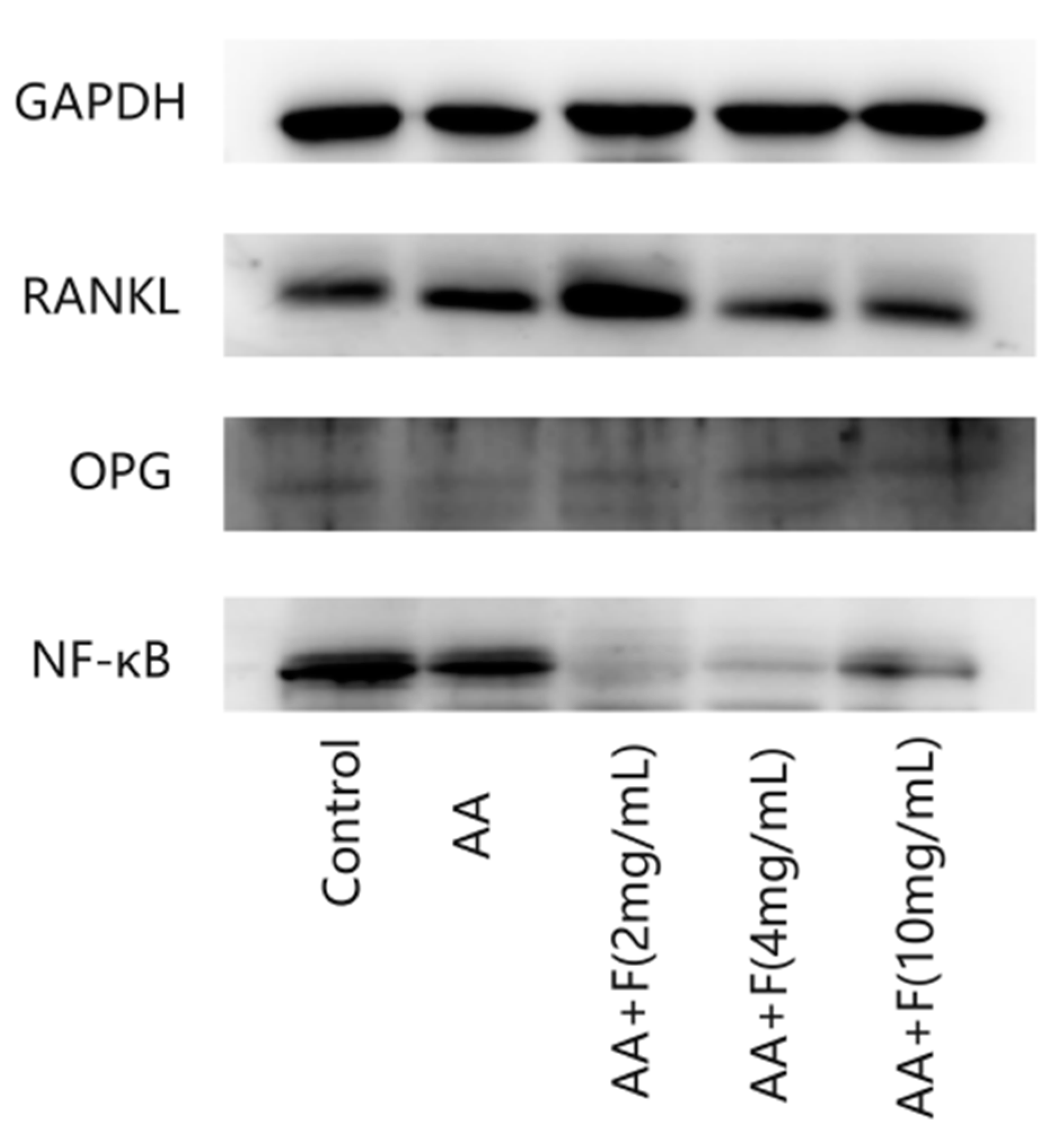 Molecules 27 06058 g004 Molecules 27 06058 g004