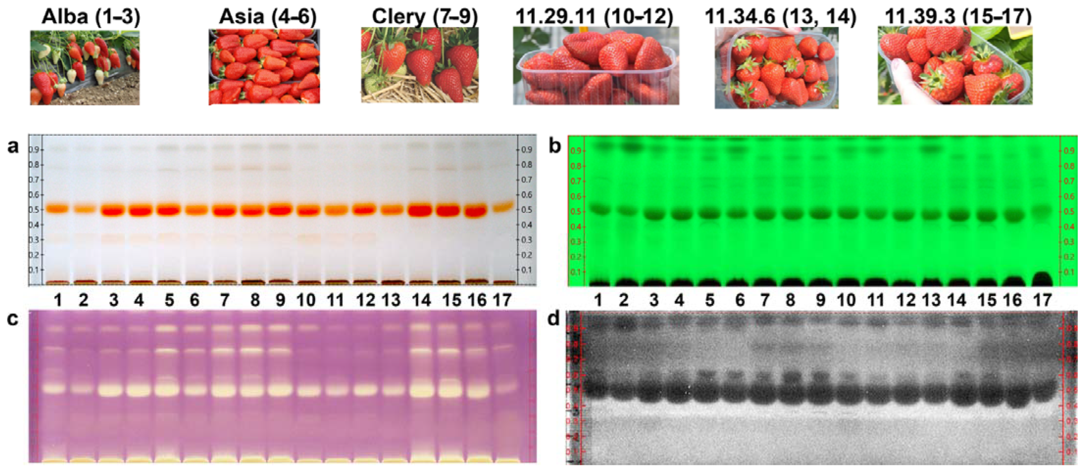 Molecules 27 06062 g001